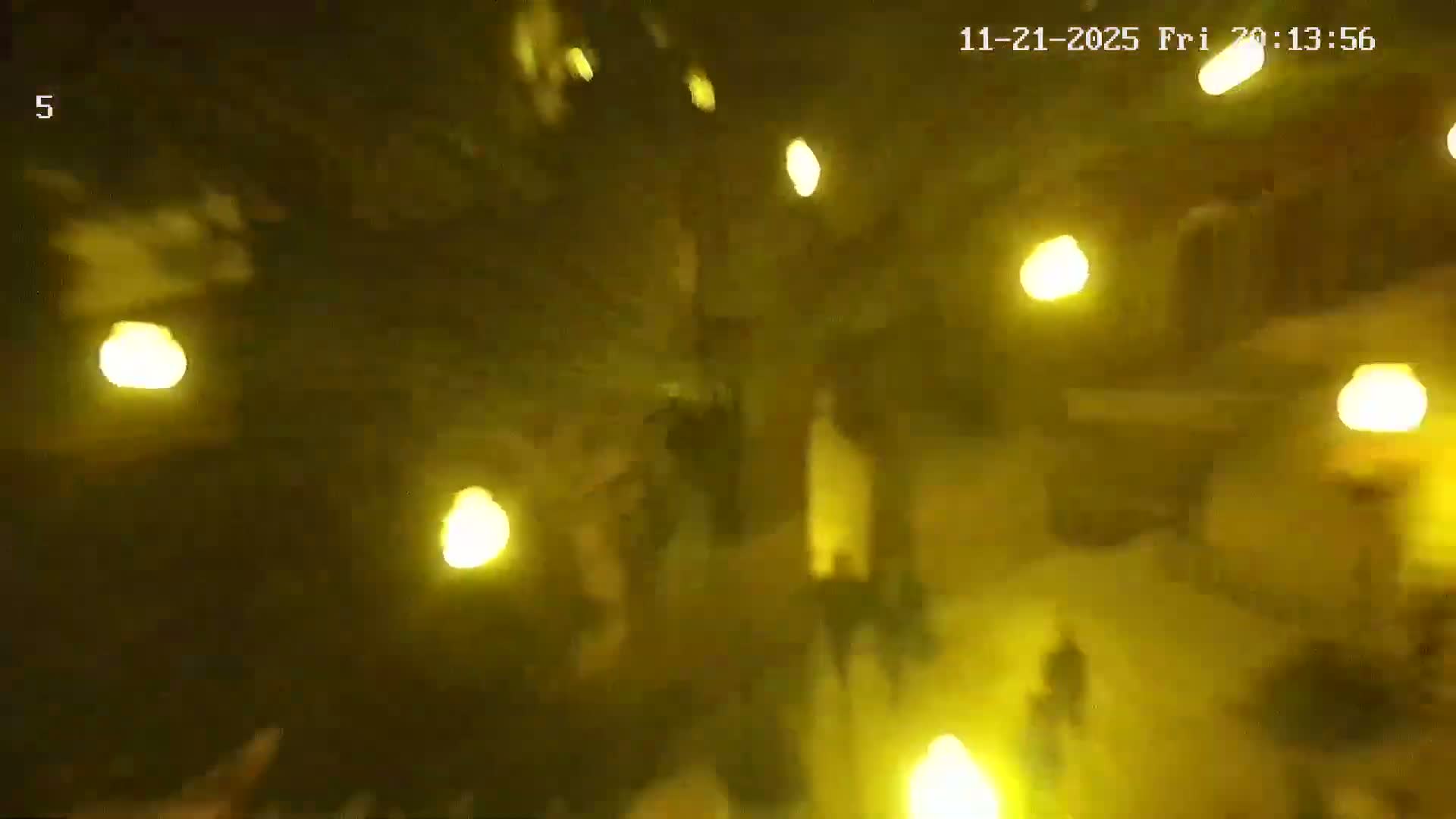 Ritz, Avenida Arriaga Avenue & Joao Goncalves Zarco Statue Live Cam - Funchal, Madeira, Portugal