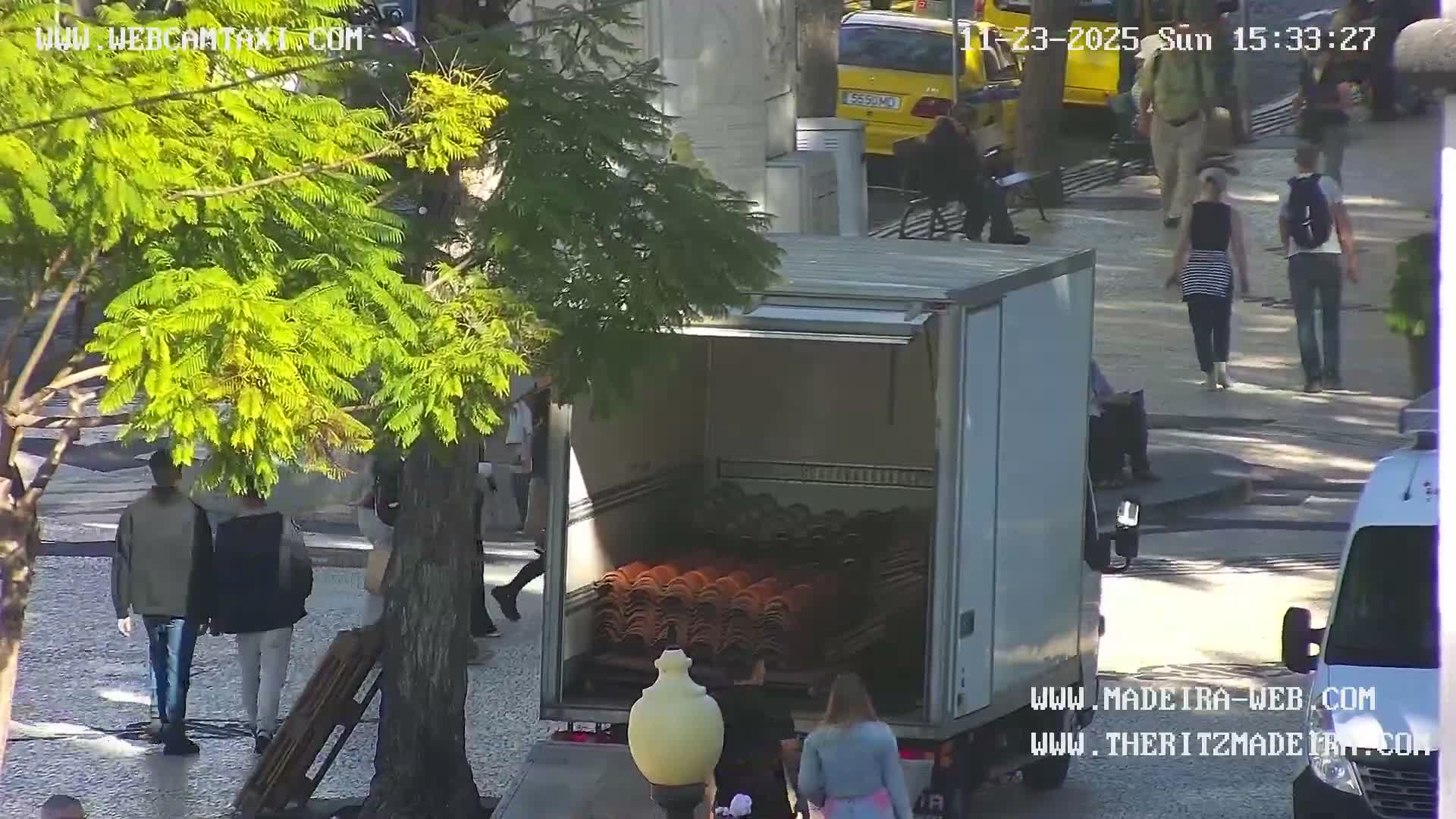 Ritz, Avenida Arriaga Avenue & Joao Goncalves Zarco Statue Live Cam - Funchal, Madeira, Portugal