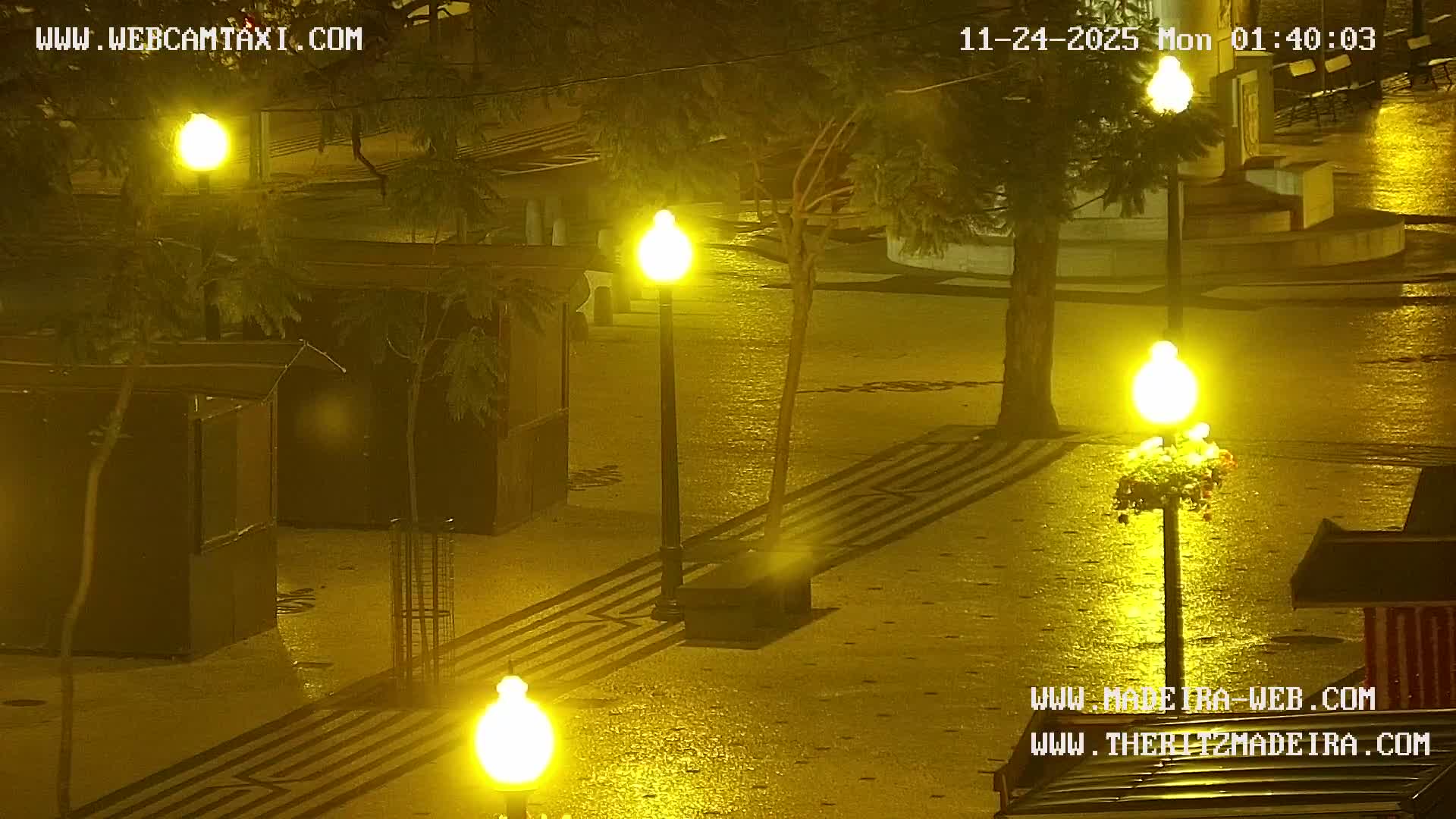 Ritz, Avenida Arriaga Avenue & Joao Goncalves Zarco Statue Live Cam - Funchal, Madeira, Portugal