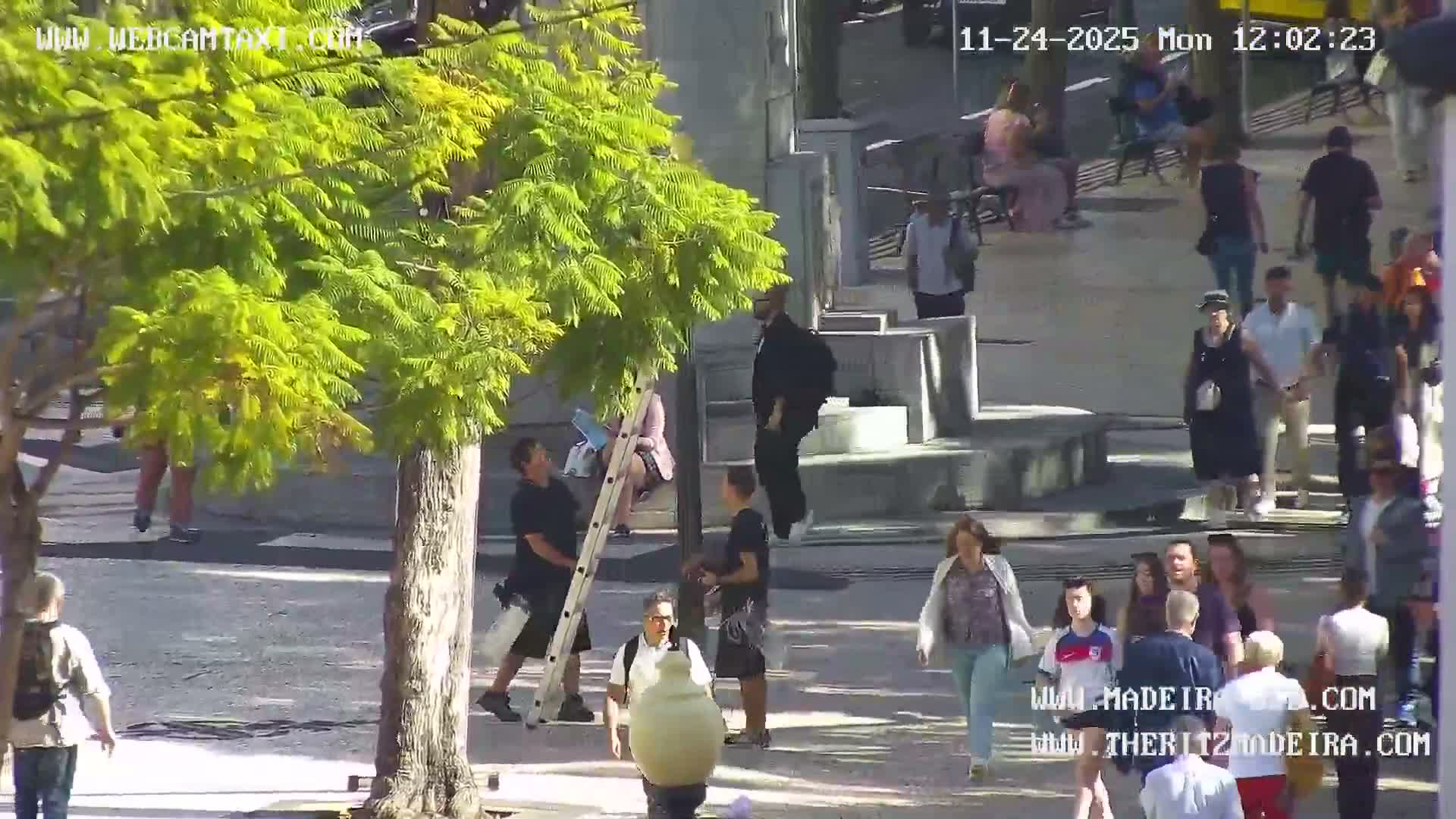 Ritz, Avenida Arriaga Avenue & Joao Goncalves Zarco Statue Live Cam - Funchal, Madeira, Portugal