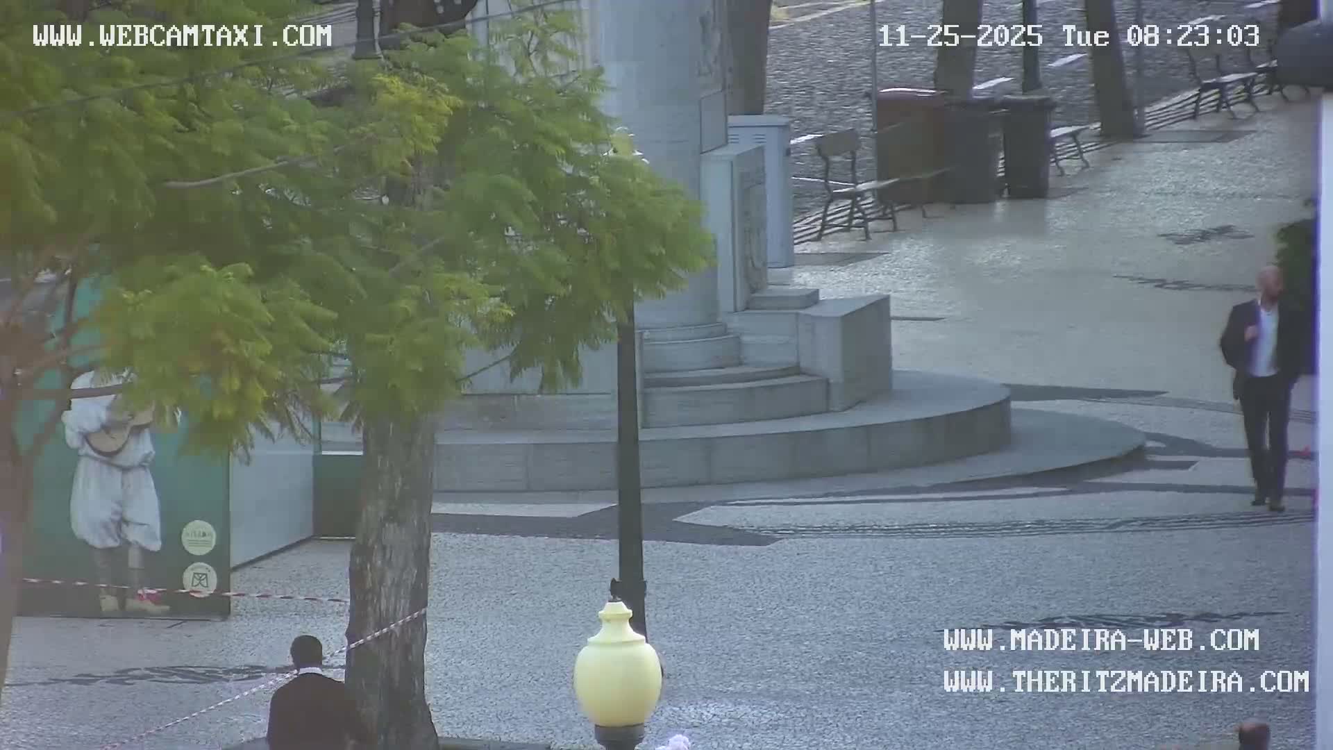 A man in a suit walks across a damp paved urban plaza featuring a large tree and a stone monument, under overcast skies.