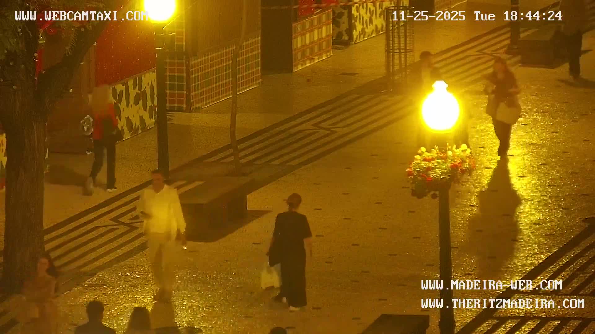 Ritz, Avenida Arriaga Avenue & Joao Goncalves Zarco Statue Live Cam - Funchal, Madeira, Portugal