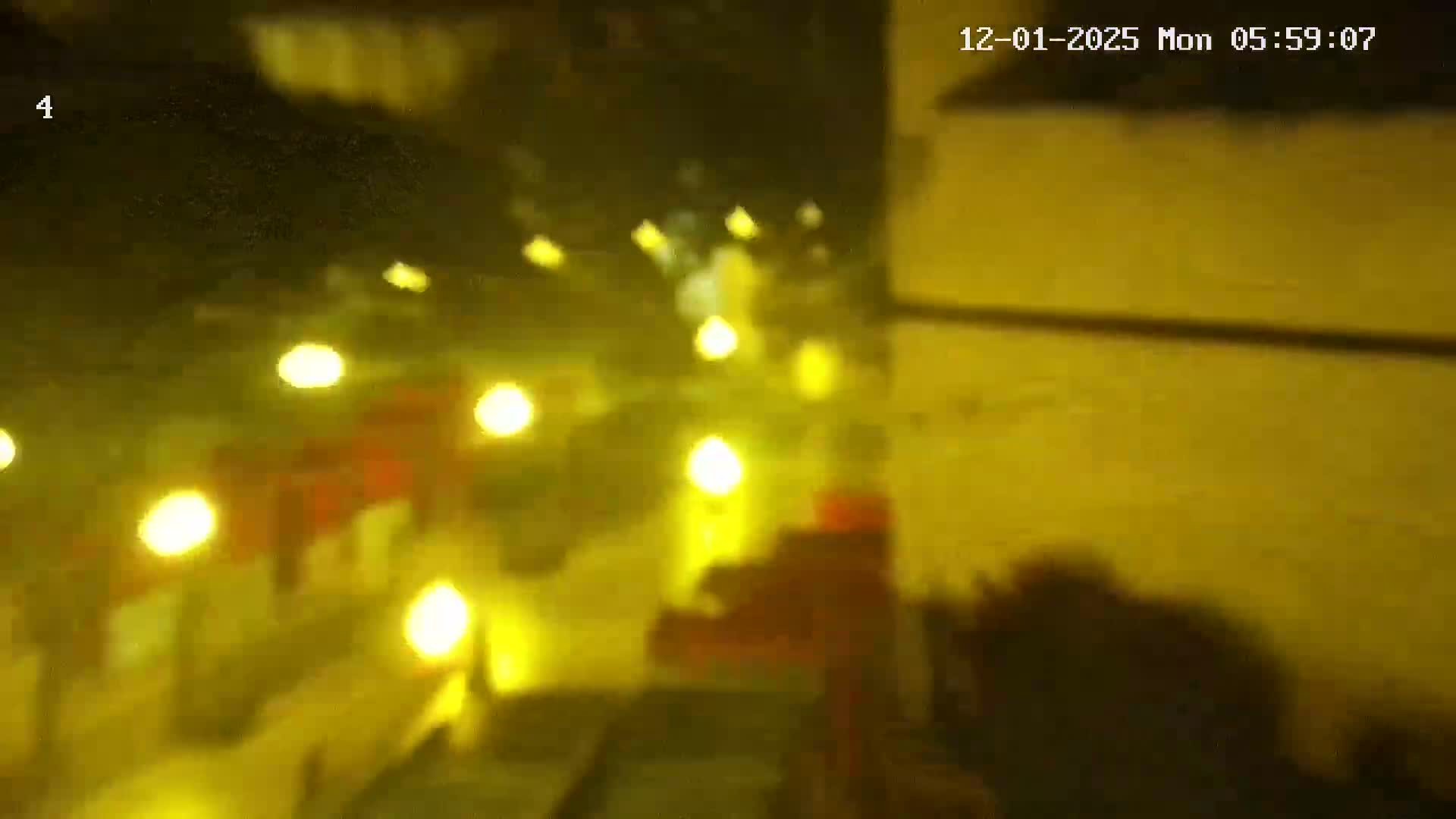 Ritz, Avenida Arriaga Avenue & Joao Goncalves Zarco Statue Live Cam - Funchal, Madeira, Portugal