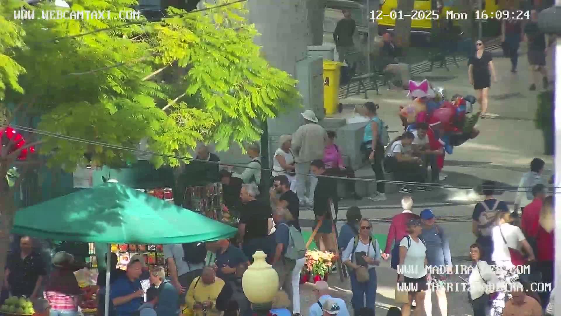 Ritz, Avenida Arriaga Avenue & Joao Goncalves Zarco Statue Live Cam - Funchal, Madeira, Portugal
