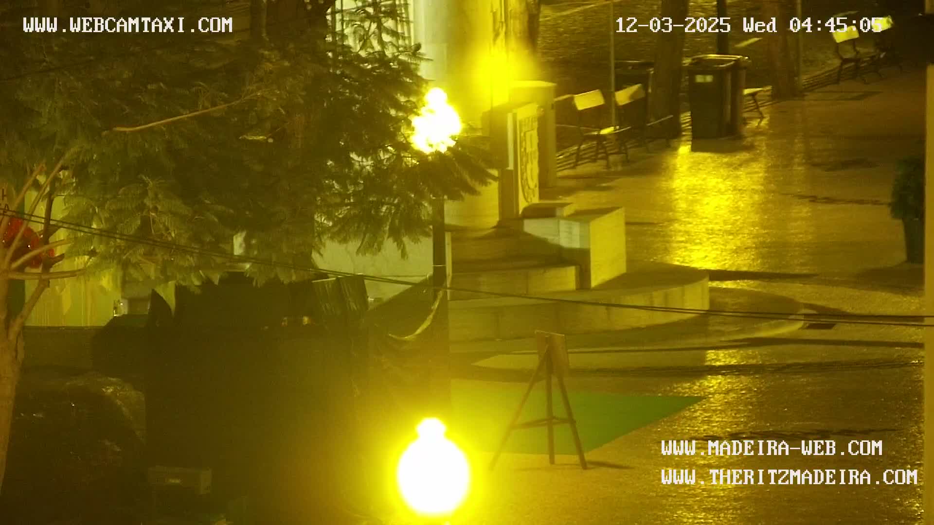 Ritz, Avenida Arriaga Avenue & Joao Goncalves Zarco Statue Live Cam - Funchal, Madeira, Portugal