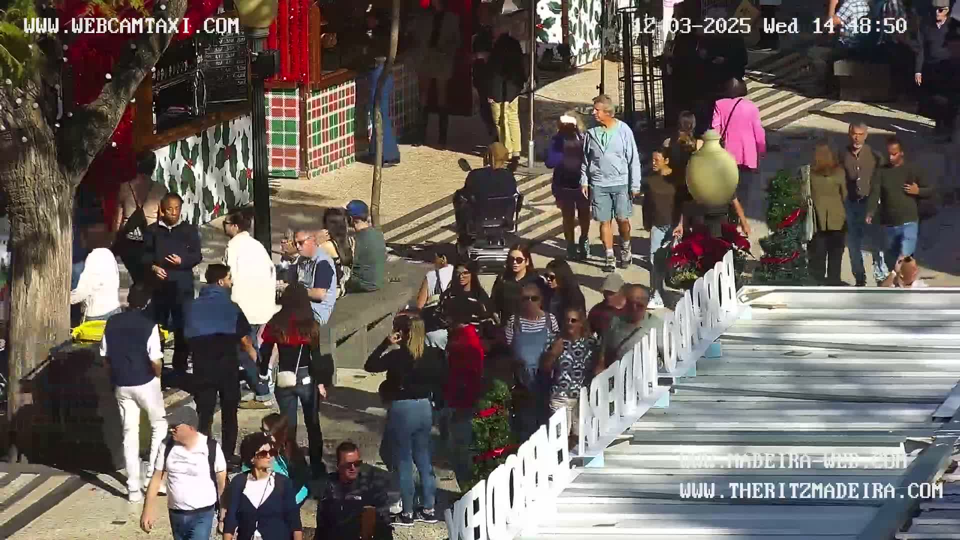 Ritz, Avenida Arriaga Avenue & Joao Goncalves Zarco Statue Live Cam - Funchal, Madeira, Portugal