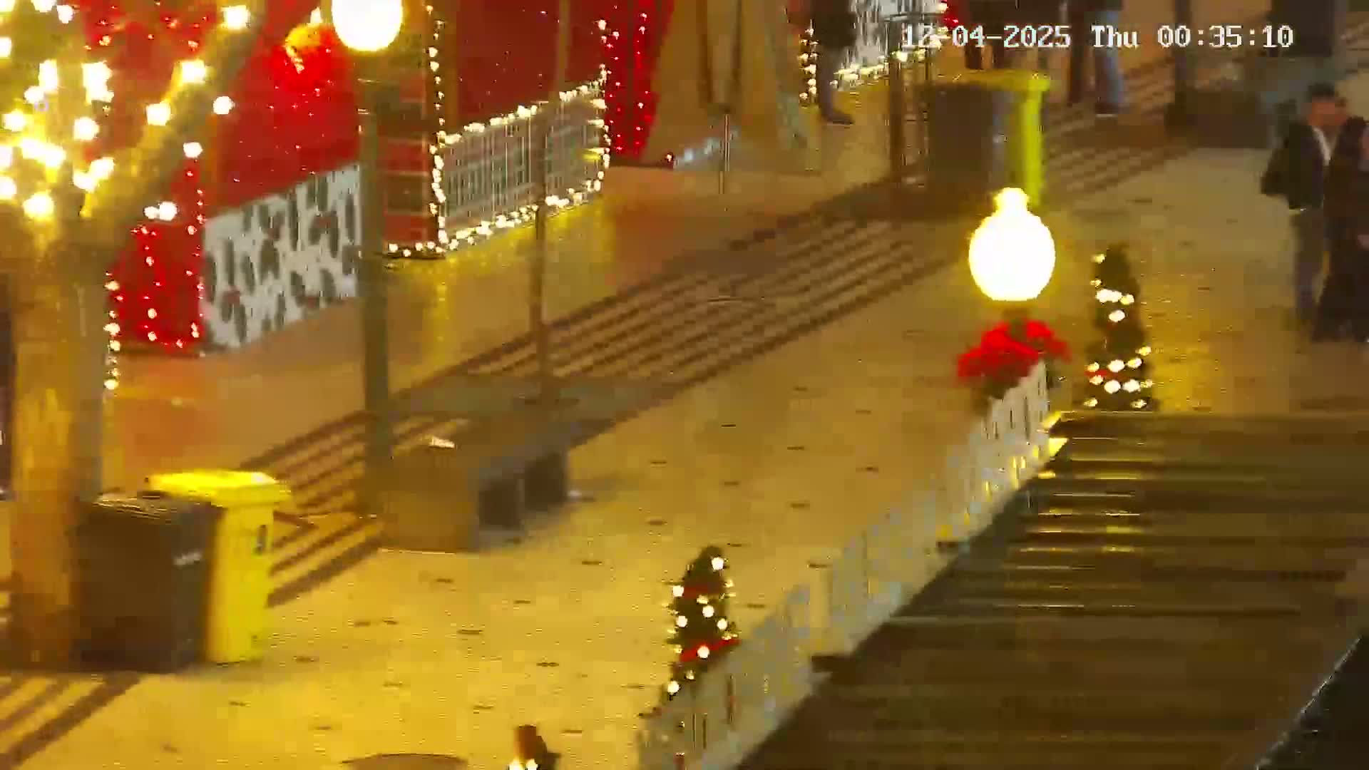 Ritz, Avenida Arriaga Avenue & Joao Goncalves Zarco Statue Live Cam - Funchal, Madeira, Portugal
