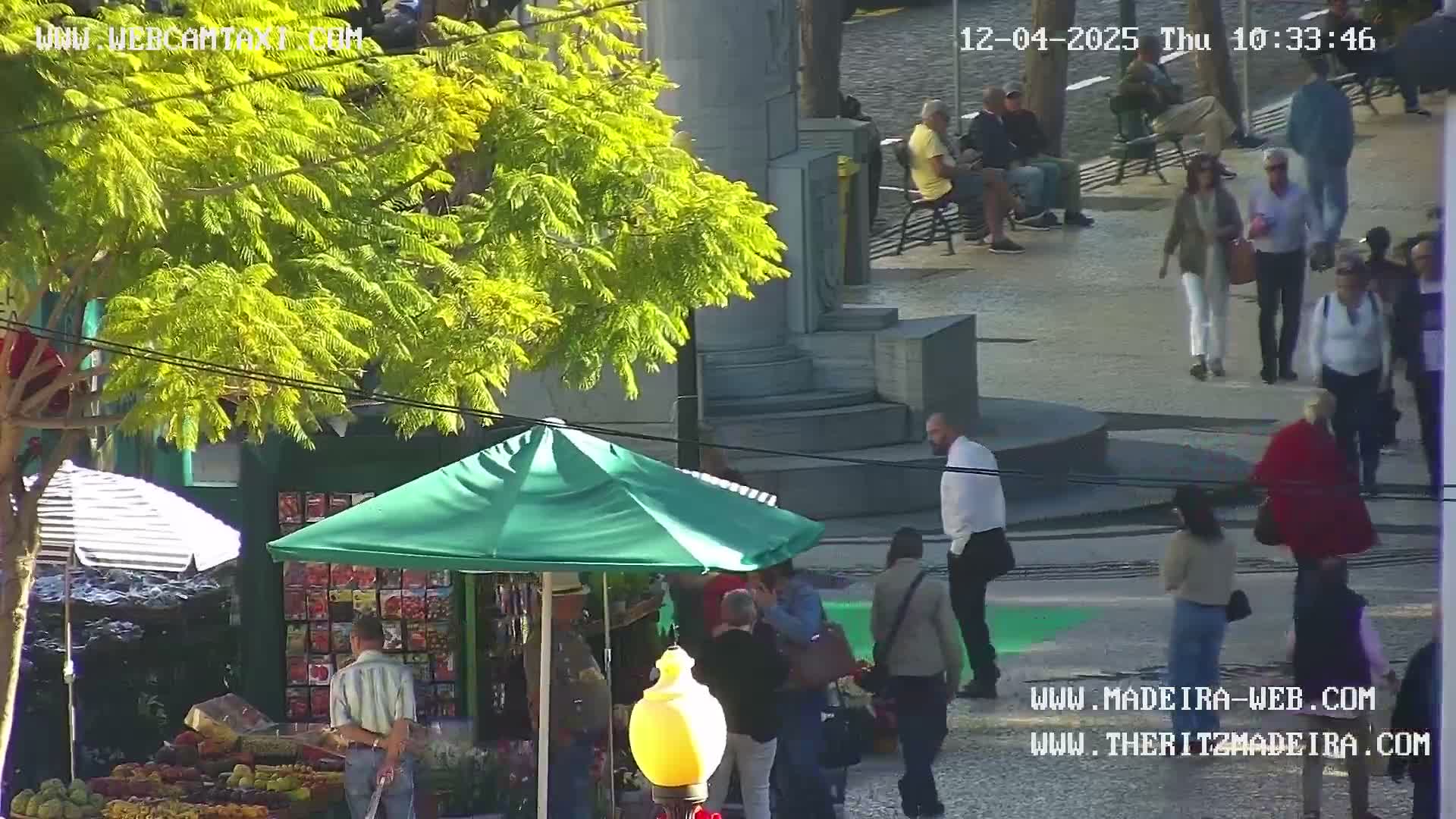 Ritz, Avenida Arriaga Avenue & Joao Goncalves Zarco Statue Live Cam - Funchal, Madeira, Portugal