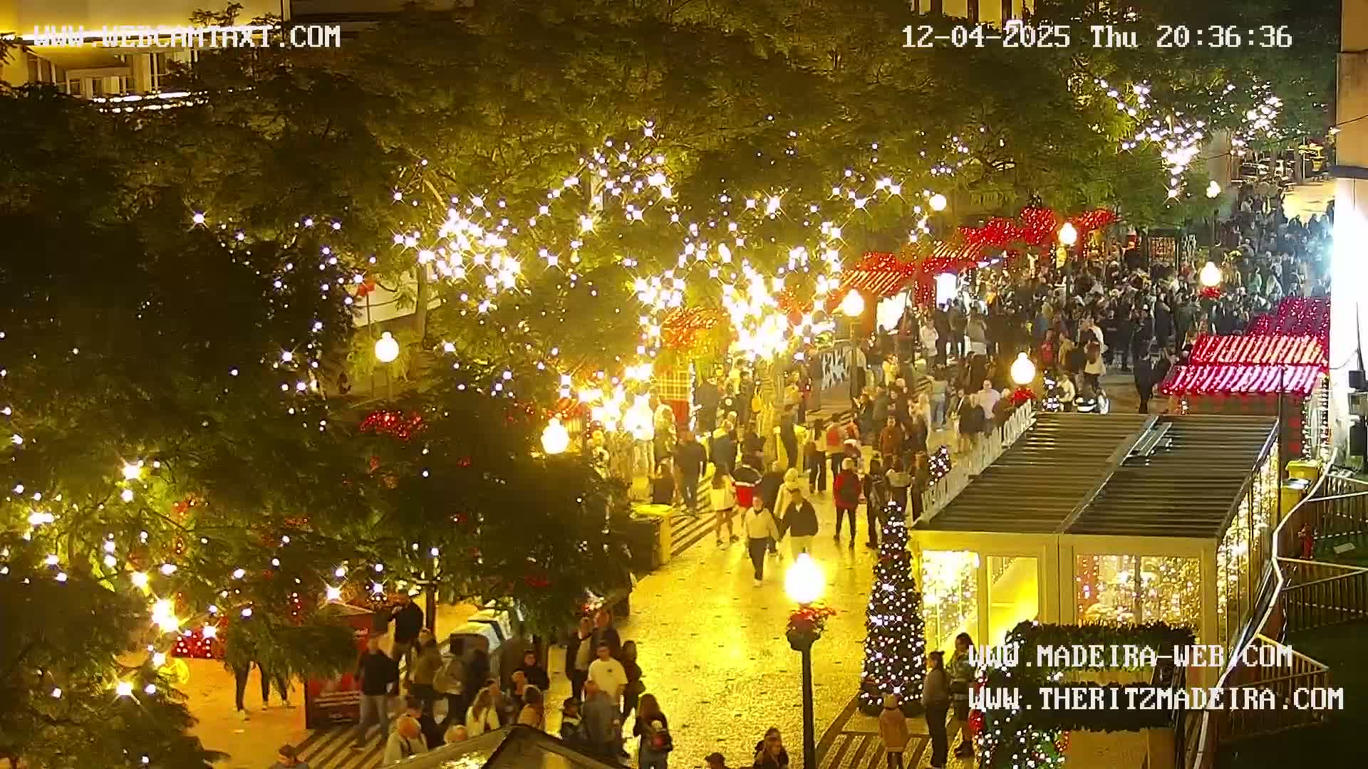 Ritz, Avenida Arriaga Avenue & Joao Goncalves Zarco Statue Live Cam - Funchal, Madeira, Portugal
