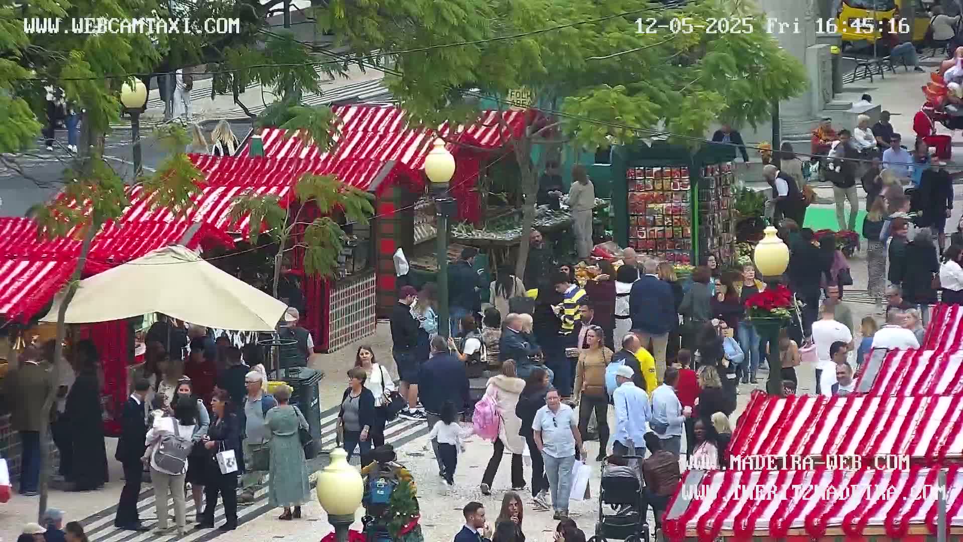 Ritz, Avenida Arriaga Avenue & Joao Goncalves Zarco Statue Live Cam - Funchal, Madeira, Portugal