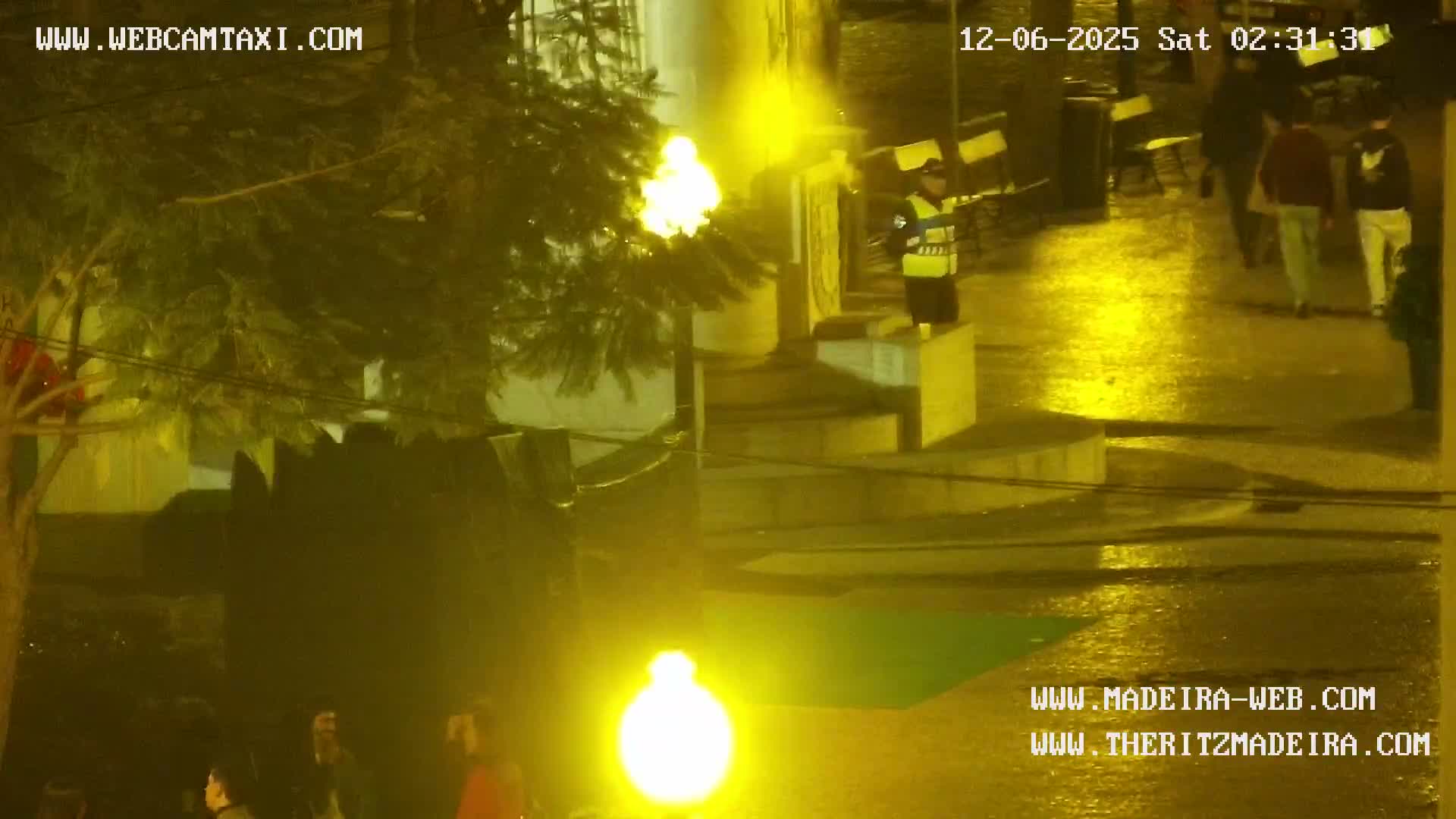 Ritz, Avenida Arriaga Avenue & Joao Goncalves Zarco Statue Live Cam - Funchal, Madeira, Portugal