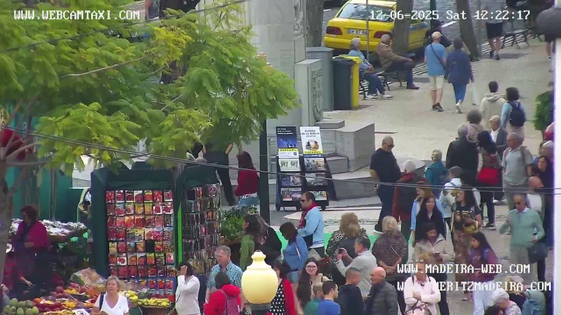 Ritz, Avenida Arriaga Avenue & Joao Goncalves Zarco Statue Live Cam - Funchal, Madeira, Portugal