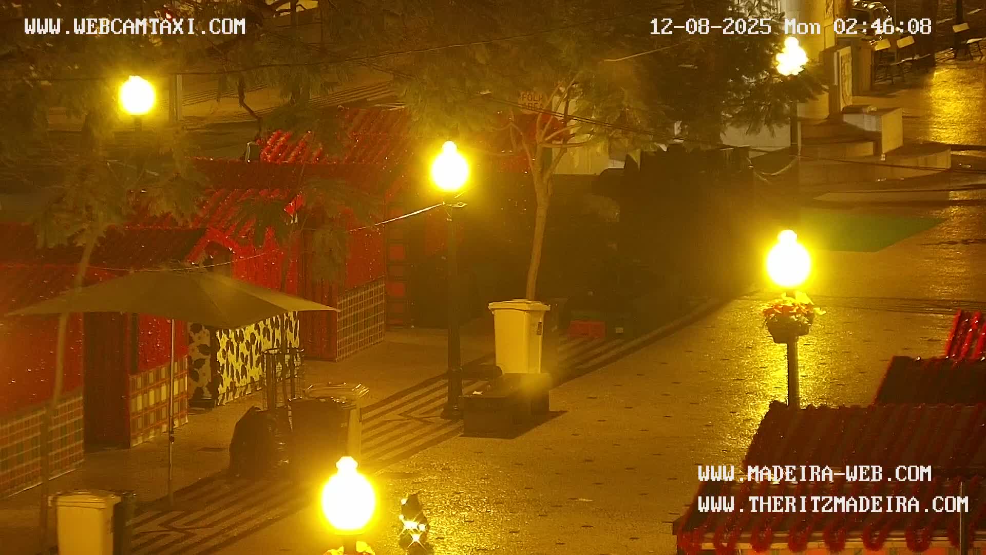 Ritz, Avenida Arriaga Avenue & Joao Goncalves Zarco Statue Live Cam - Funchal, Madeira, Portugal