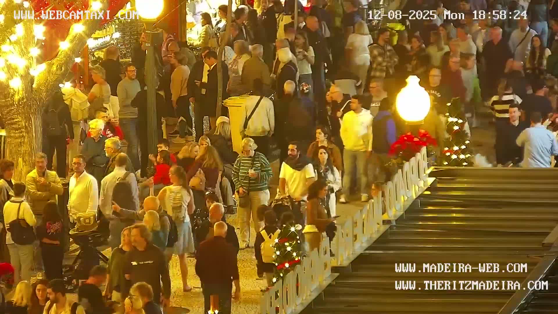 Ritz, Avenida Arriaga Avenue & Joao Goncalves Zarco Statue Live Cam - Funchal, Madeira, Portugal