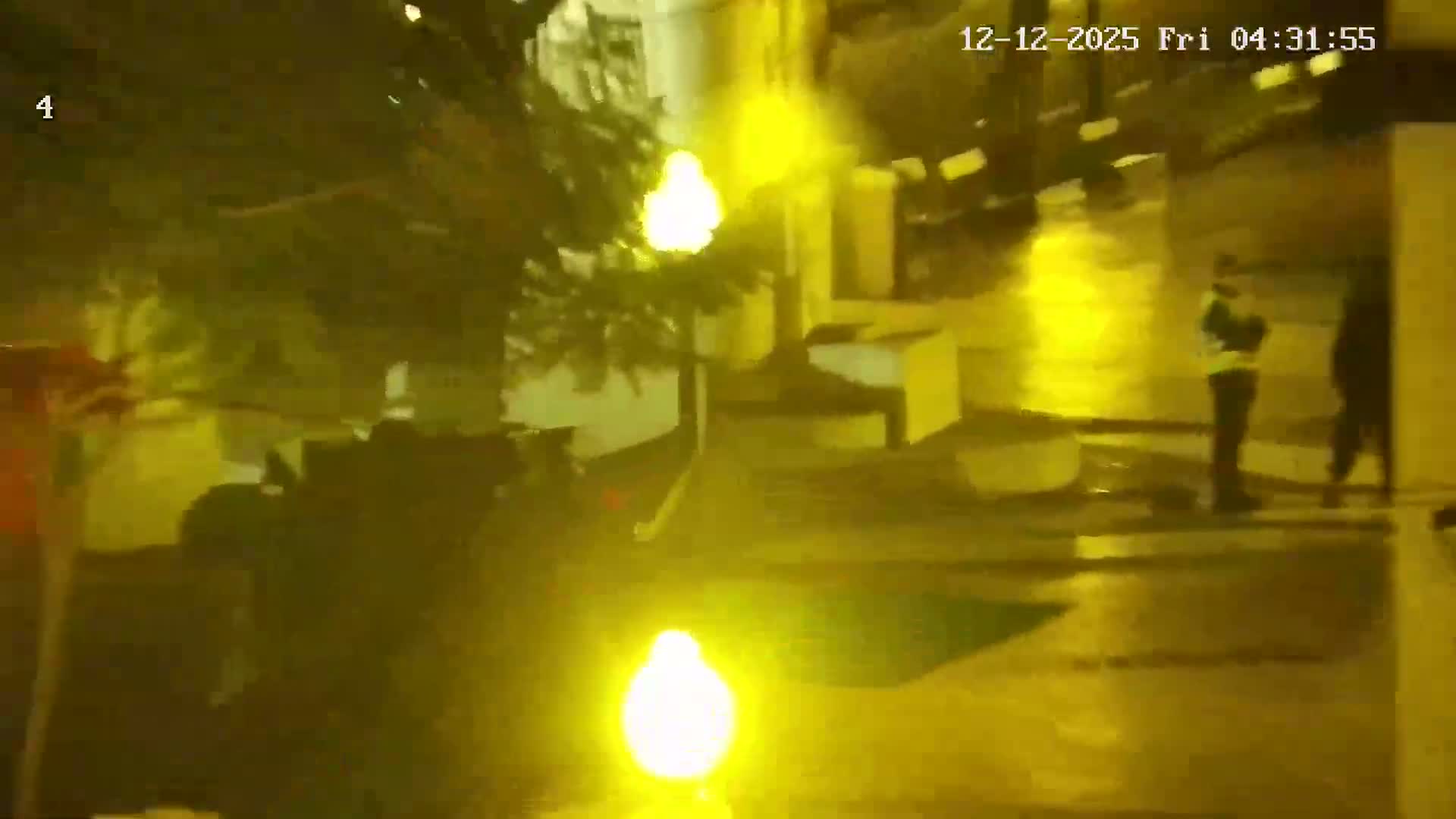 Ritz, Avenida Arriaga Avenue & Joao Goncalves Zarco Statue Live Cam - Funchal, Madeira, Portugal