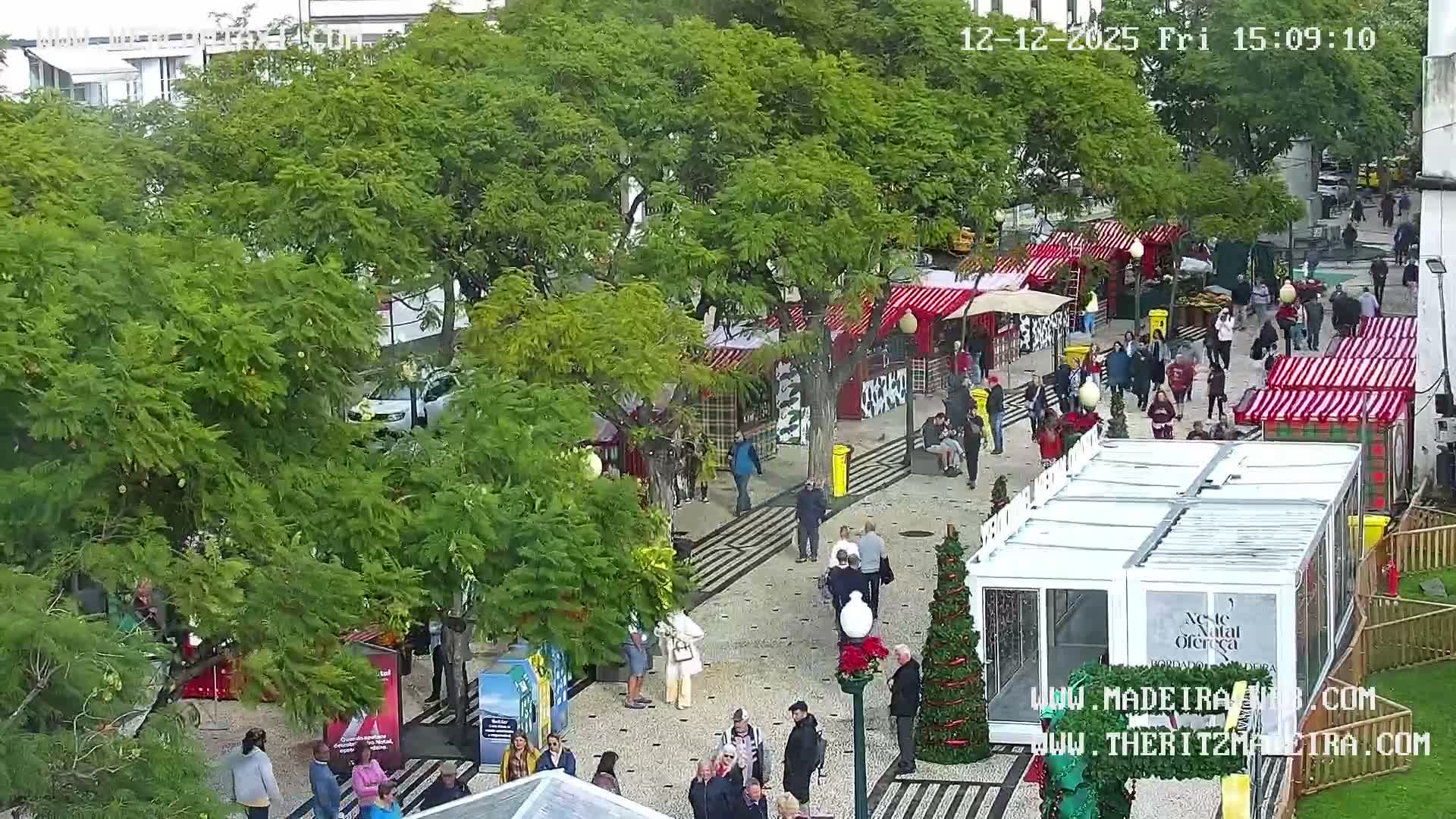 Ritz, Avenida Arriaga Avenue & Joao Goncalves Zarco Statue Live Cam - Funchal, Madeira, Portugal