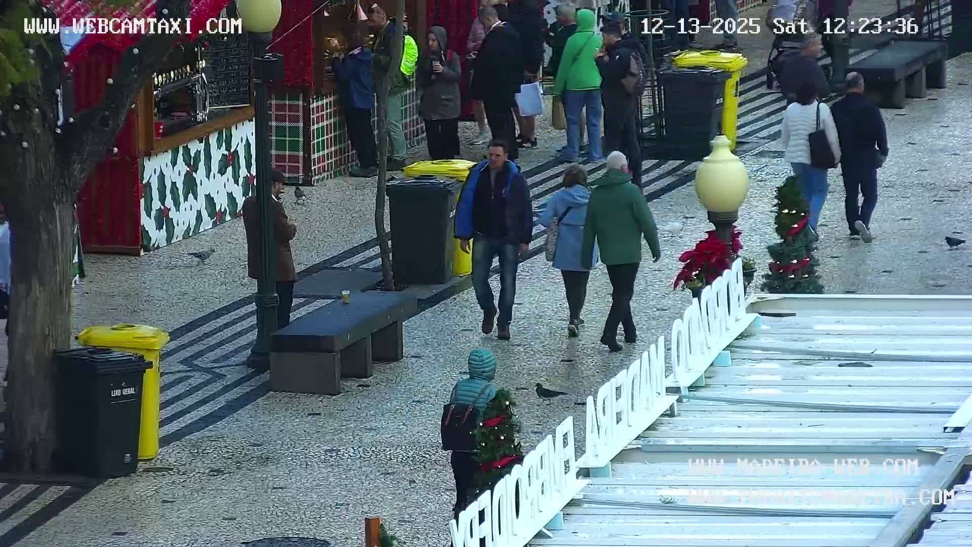 Ritz, Avenida Arriaga Avenue & Joao Goncalves Zarco Statue Live Cam - Funchal, Madeira, Portugal