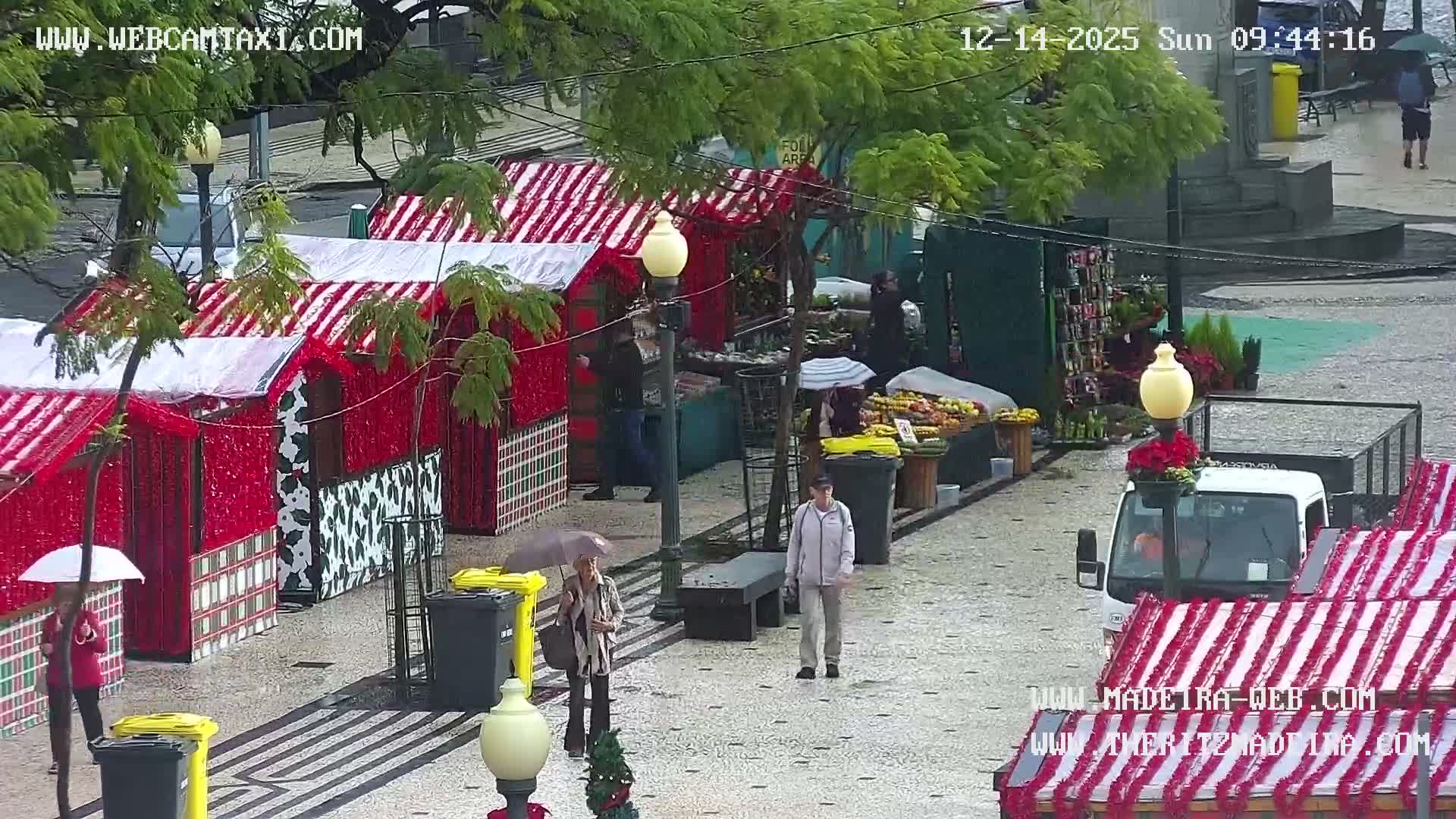 On a clear but damp evening, a bustling outdoor scene unfolds with several groups of people gathering on a wet paved area, illuminated by bright artificial lights that highlight trees and stone structures.