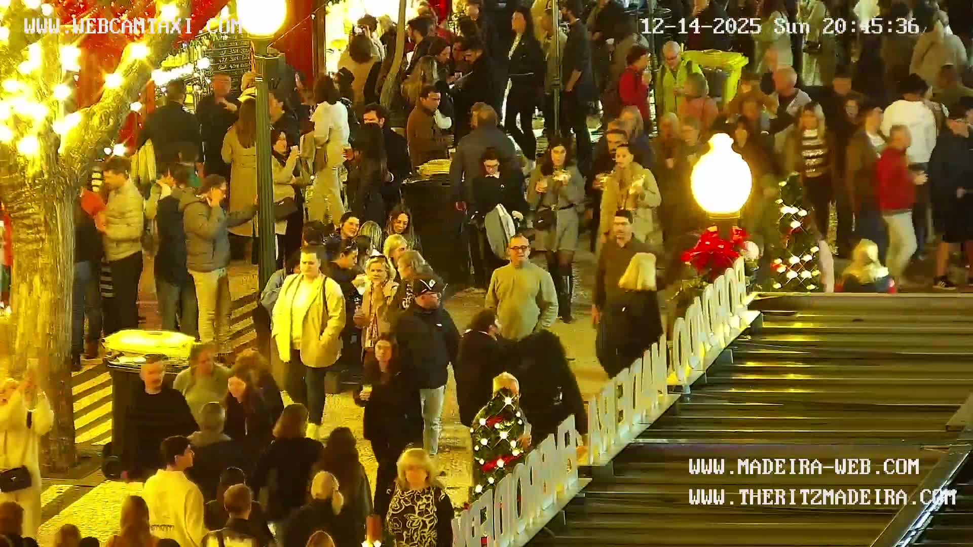 On a clear but damp evening, a bustling outdoor scene unfolds with several groups of people gathering on a wet paved area, illuminated by bright artificial lights that highlight trees and stone structures.