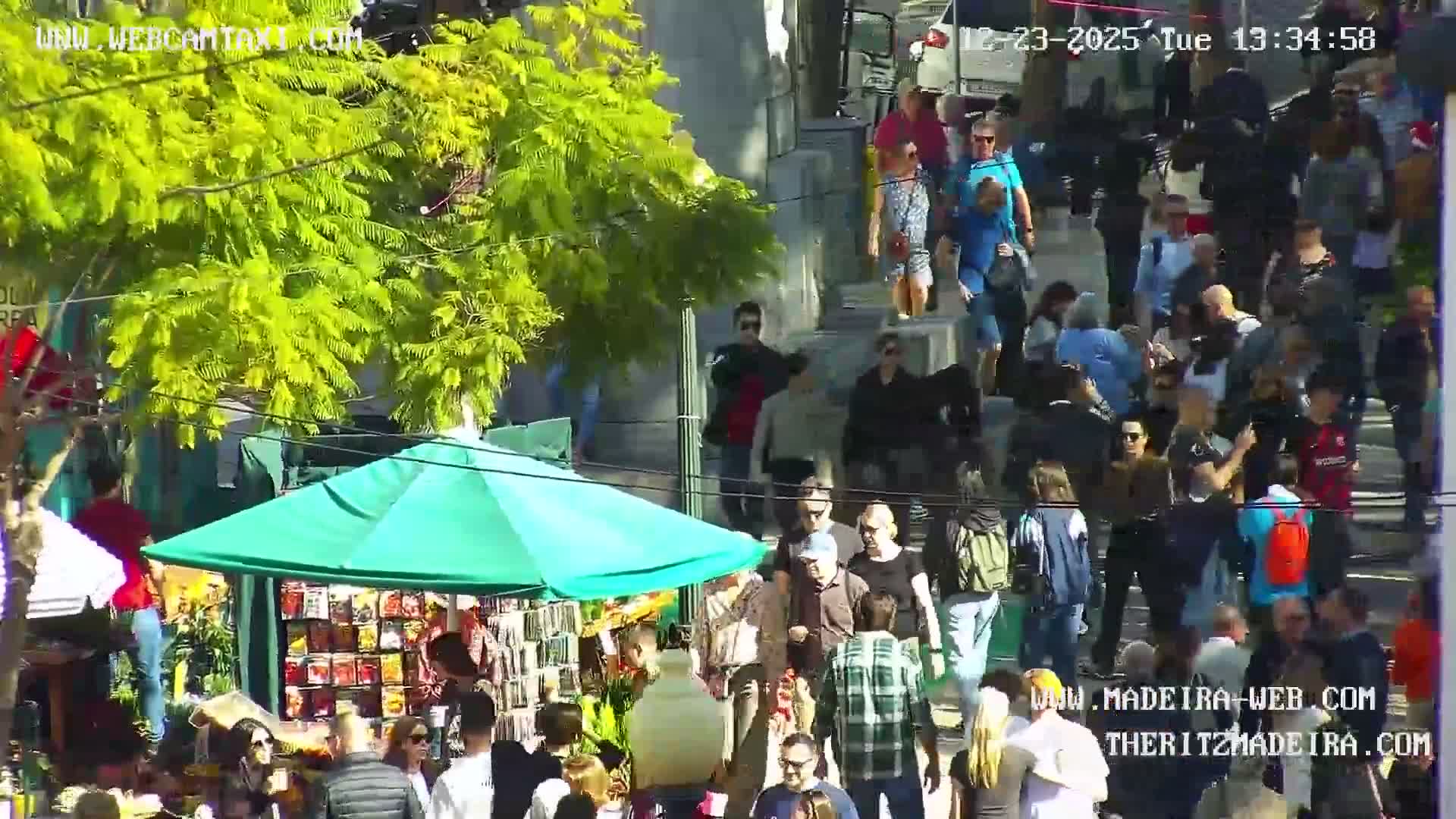 Ritz, Avenida Arriaga Avenue & Joao Goncalves Zarco Statue Live Cam - Funchal, Madeira, Portugal