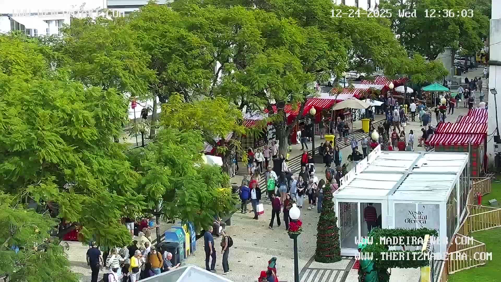Ritz, Avenida Arriaga Avenue & Joao Goncalves Zarco Statue Live Cam - Funchal, Madeira, Portugal