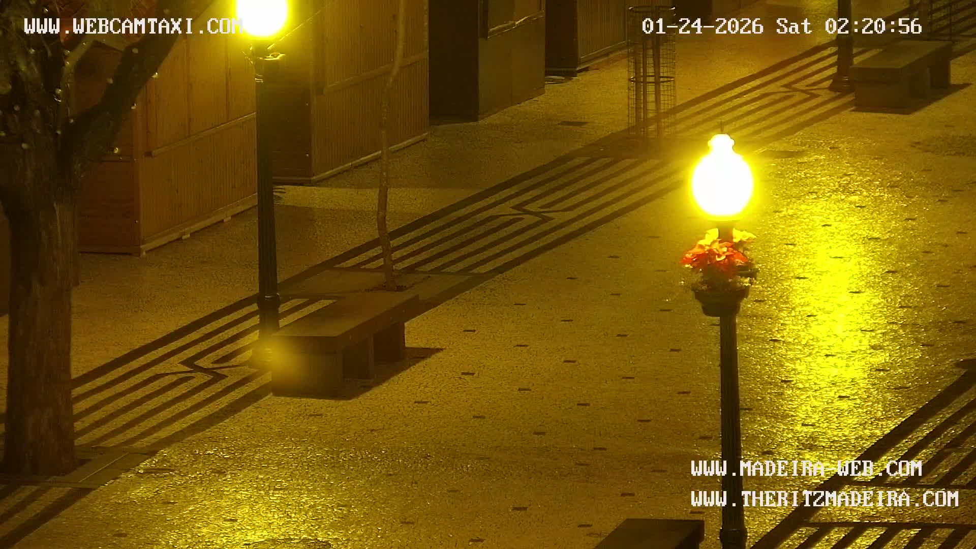 Ritz, Avenida Arriaga Avenue & Joao Goncalves Zarco Statue Live Cam - Funchal, Madeira, Portugal