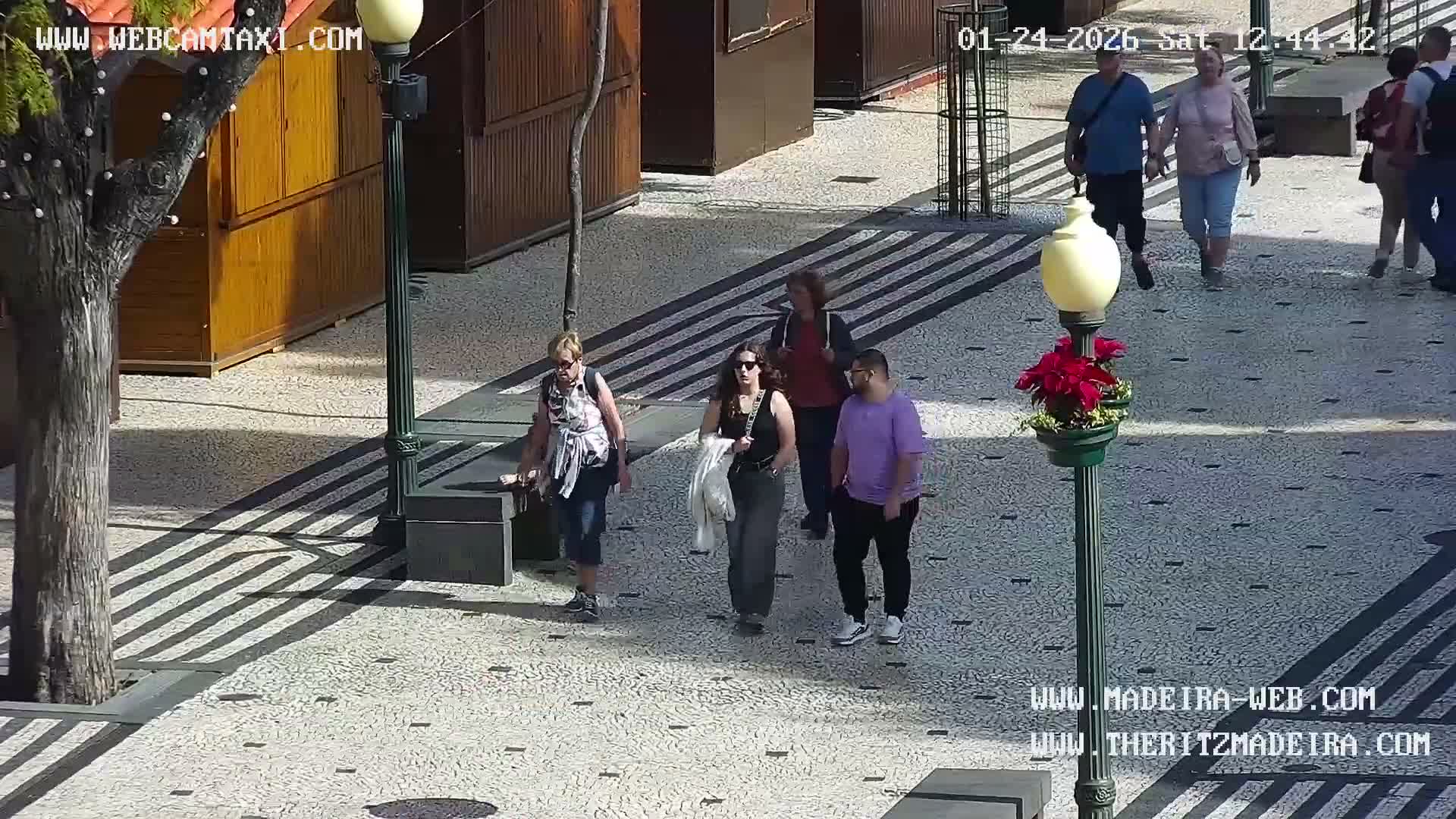 Ritz, Avenida Arriaga Avenue & Joao Goncalves Zarco Statue Live Cam - Funchal, Madeira, Portugal