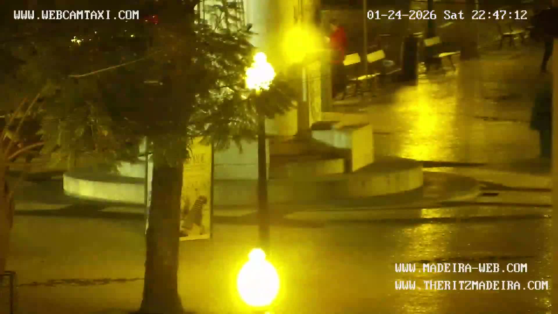 Ritz, Avenida Arriaga Avenue & Joao Goncalves Zarco Statue Live Cam - Funchal, Madeira, Portugal
