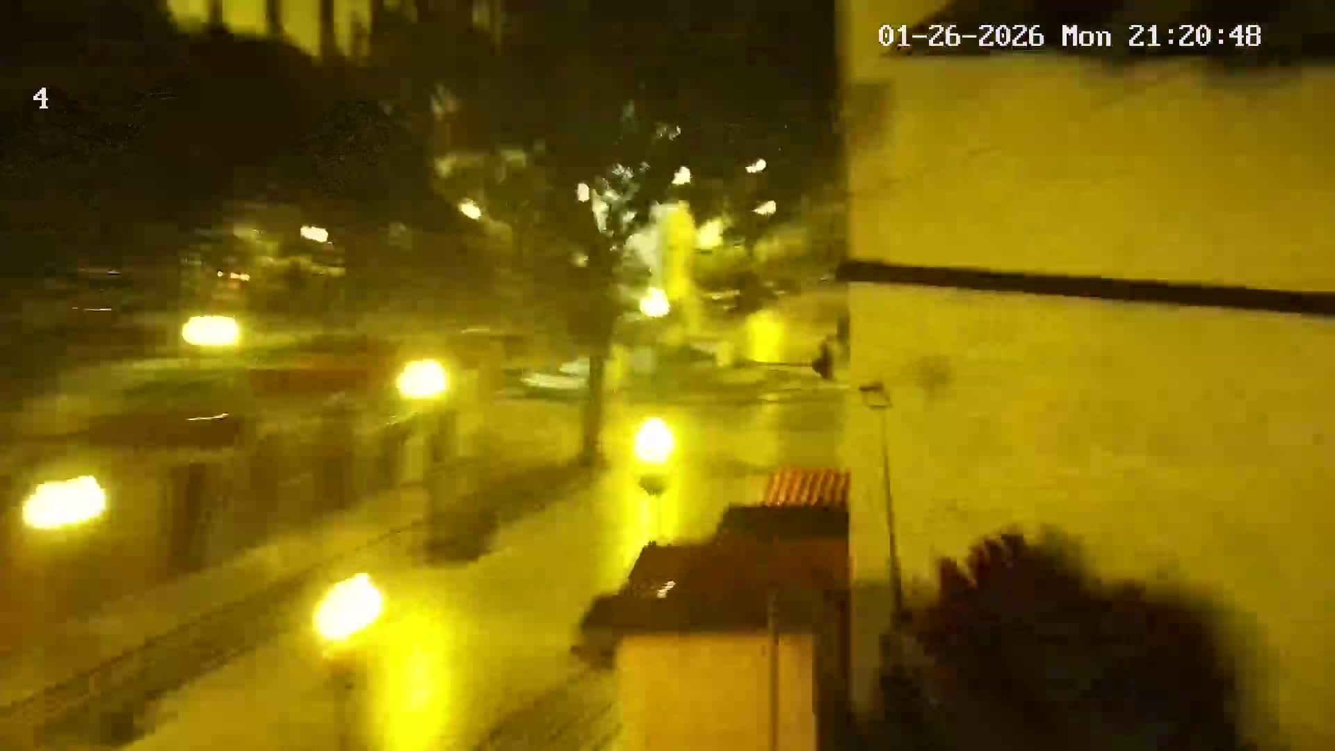 Ritz, Avenida Arriaga Avenue & Joao Goncalves Zarco Statue Live Cam - Funchal, Madeira, Portugal