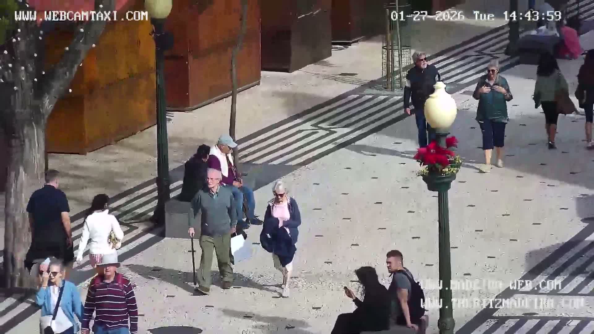 Ritz, Avenida Arriaga Avenue & Joao Goncalves Zarco Statue Live Cam - Funchal, Madeira, Portugal
