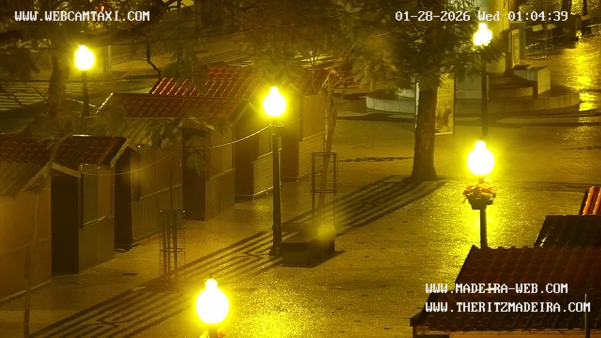 Ritz, Avenida Arriaga Avenue & Joao Goncalves Zarco Statue Live Cam - Funchal, Madeira, Portugal