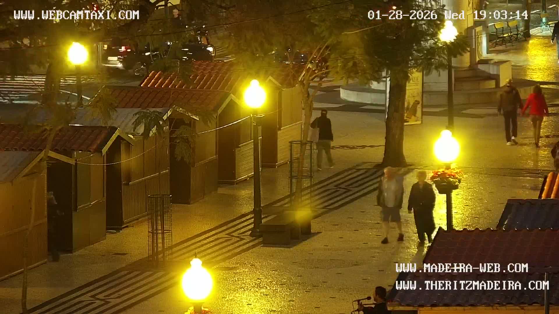 Ritz, Avenida Arriaga Avenue & Joao Goncalves Zarco Statue Live Cam - Funchal, Madeira, Portugal
