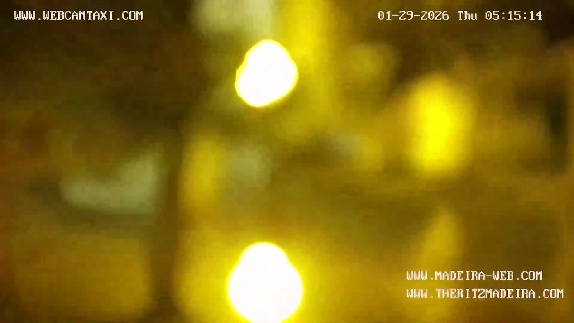 Ritz, Avenida Arriaga Avenue & Joao Goncalves Zarco Statue Live Cam - Funchal, Madeira, Portugal