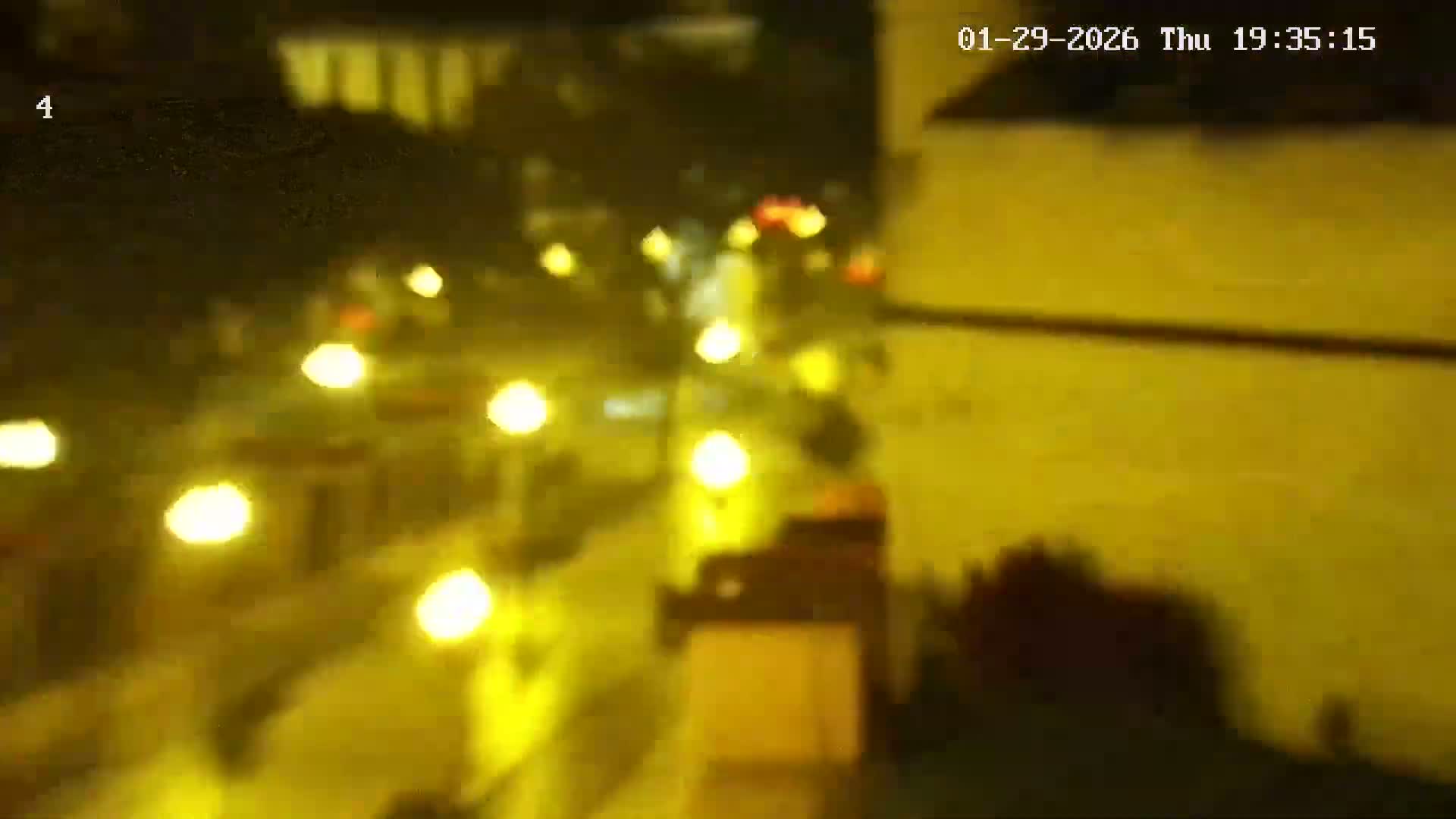 Ritz, Avenida Arriaga Avenue & Joao Goncalves Zarco Statue Live Cam - Funchal, Madeira, Portugal