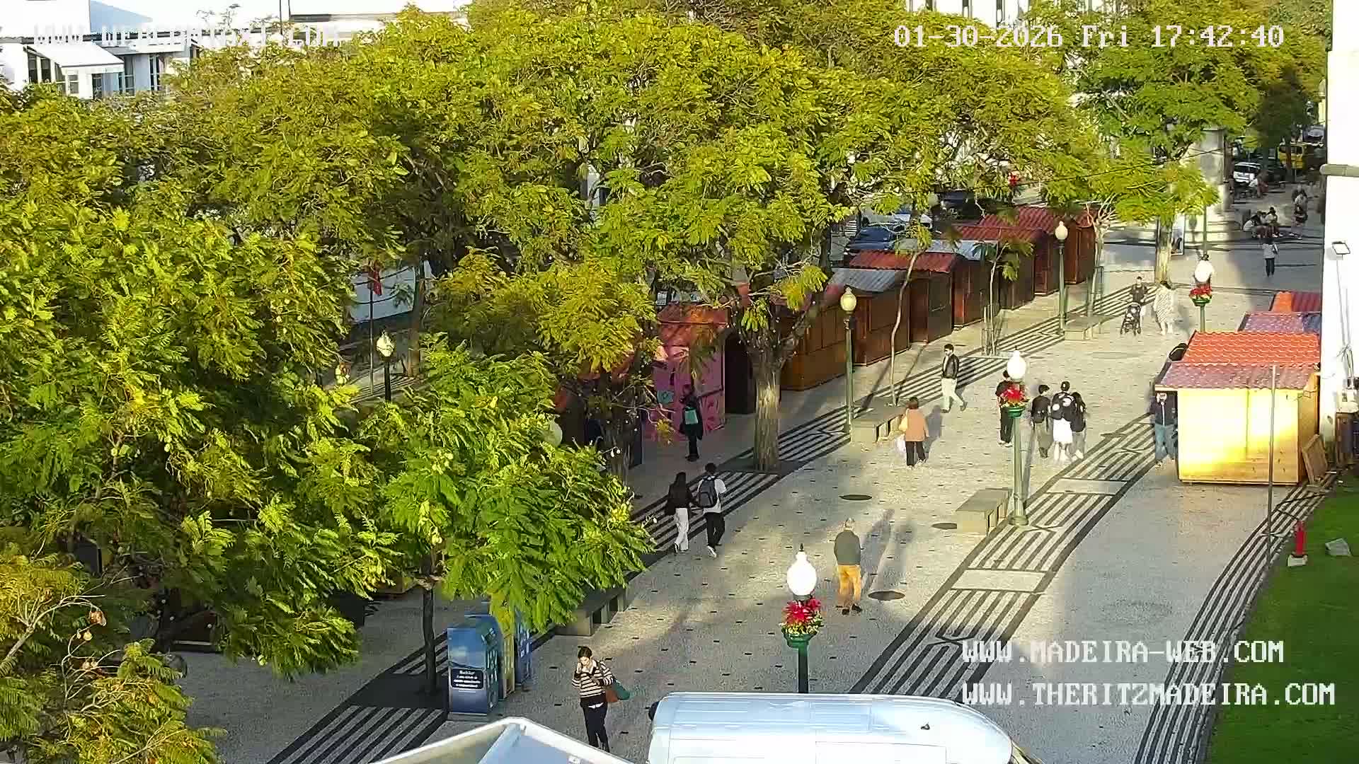 Ritz, Avenida Arriaga Avenue & Joao Goncalves Zarco Statue Live Cam - Funchal, Madeira, Portugal