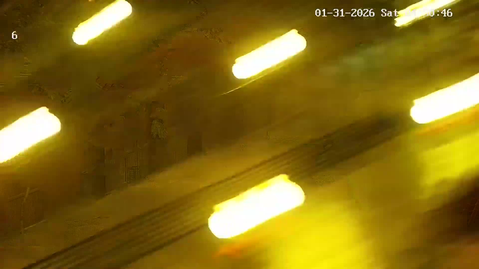 Ritz, Avenida Arriaga Avenue & Joao Goncalves Zarco Statue Live Cam - Funchal, Madeira, Portugal