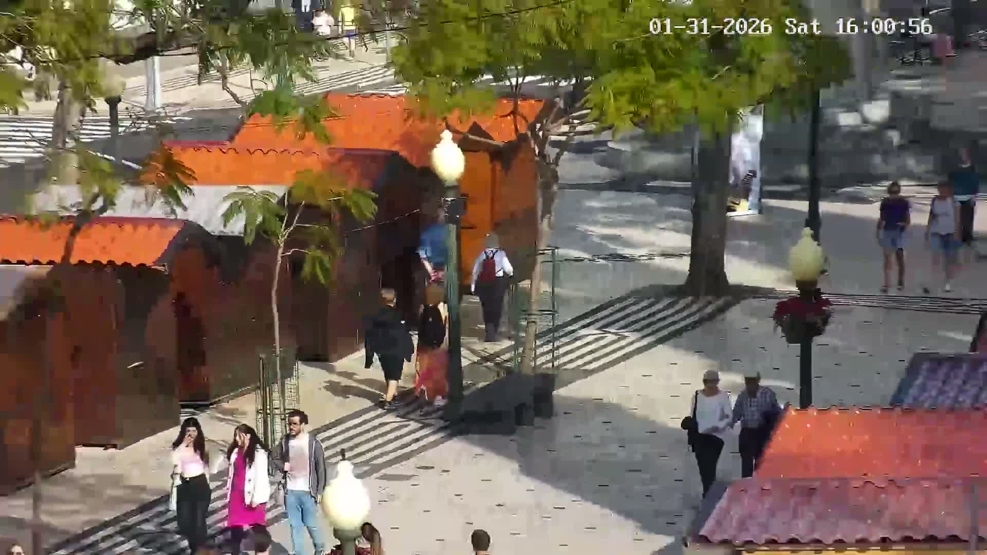 Ritz, Avenida Arriaga Avenue & Joao Goncalves Zarco Statue Live Cam - Funchal, Madeira, Portugal