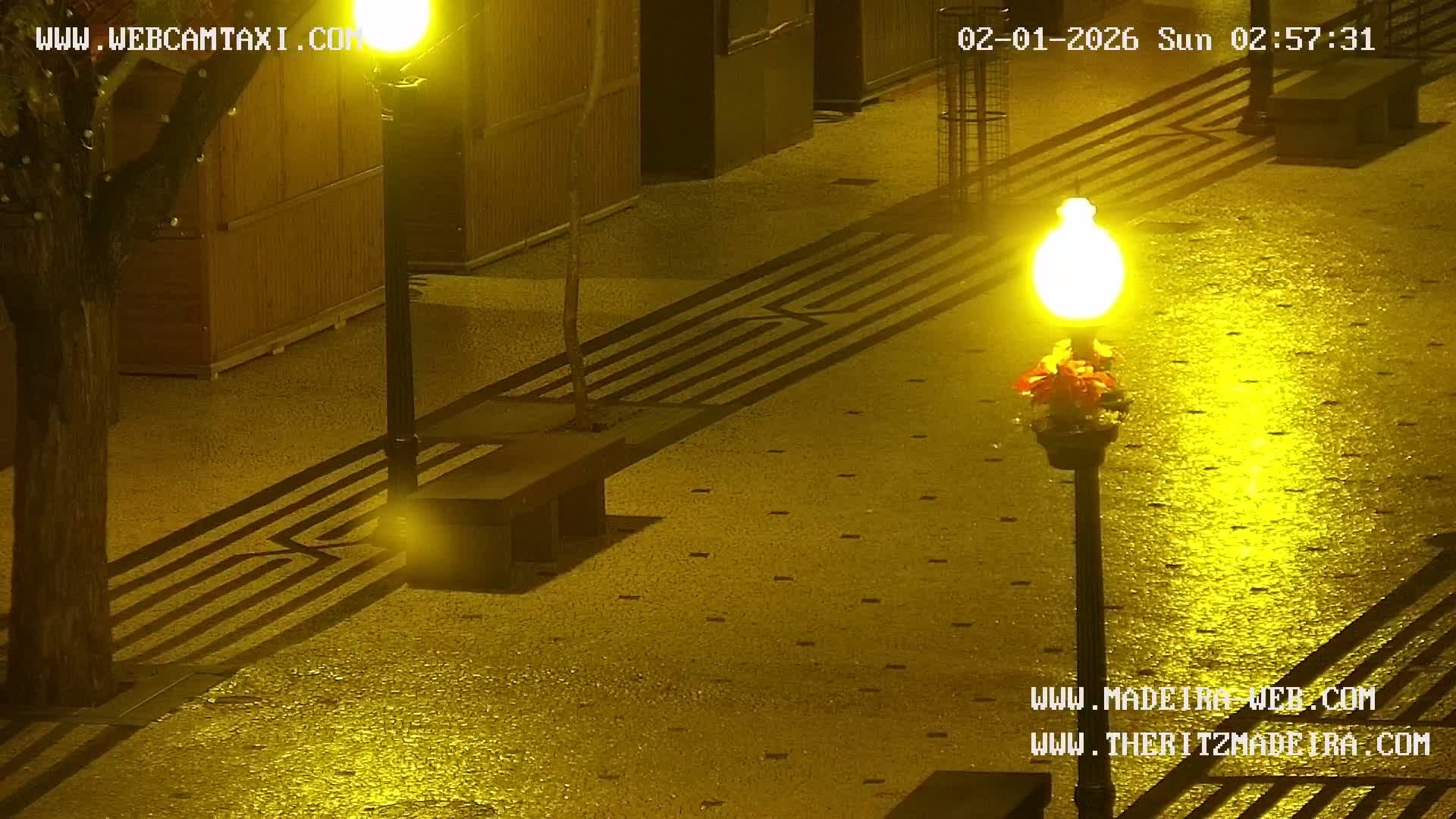 Ritz, Avenida Arriaga Avenue & Joao Goncalves Zarco Statue Live Cam - Funchal, Madeira, Portugal