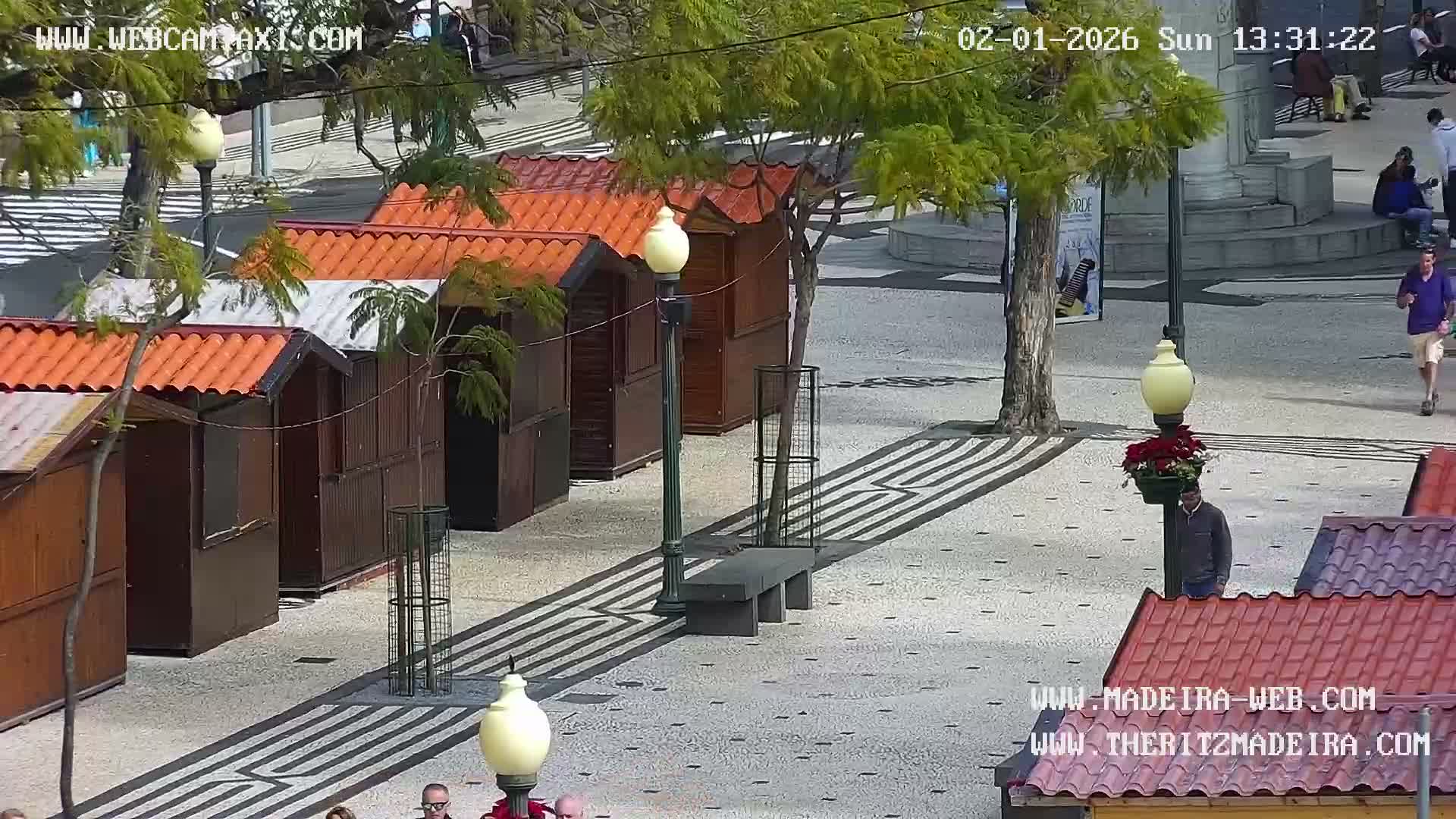 Ritz, Avenida Arriaga Avenue & Joao Goncalves Zarco Statue Live Cam - Funchal, Madeira, Portugal
