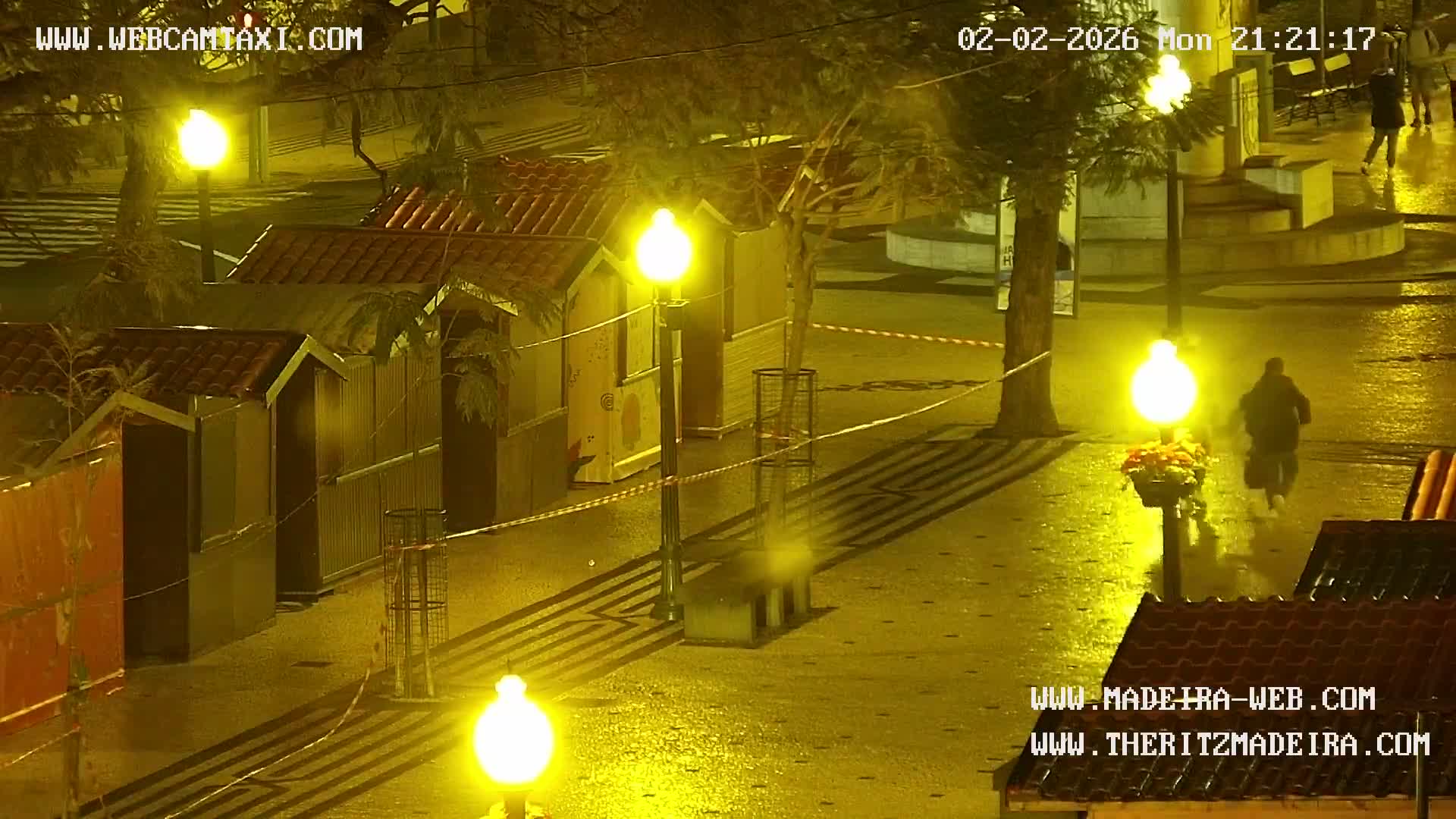 Ritz, Avenida Arriaga Avenue & Joao Goncalves Zarco Statue Live Cam - Funchal, Madeira, Portugal