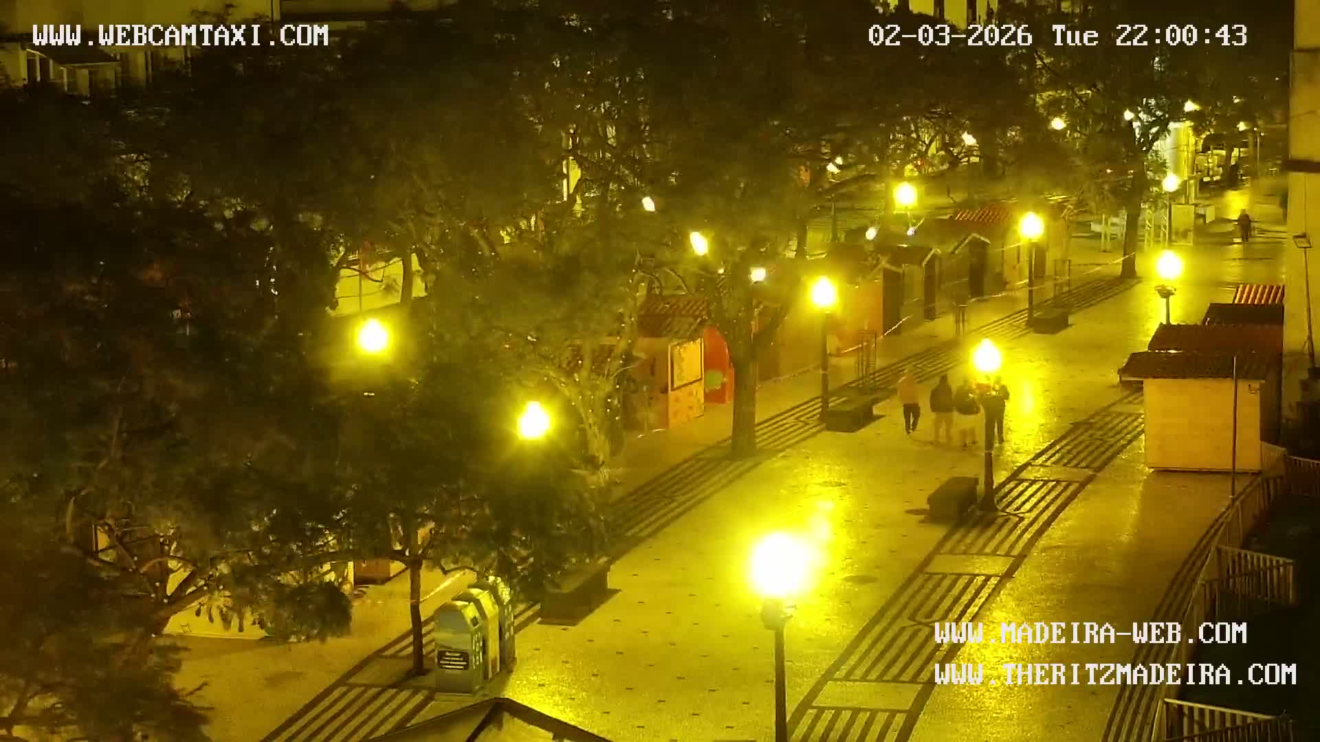 Ritz, Avenida Arriaga Avenue & Joao Goncalves Zarco Statue Live Cam - Funchal, Madeira, Portugal