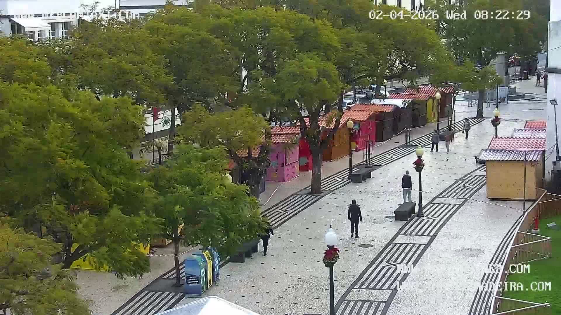 Ritz, Avenida Arriaga Avenue & Joao Goncalves Zarco Statue Live Cam - Funchal, Madeira, Portugal