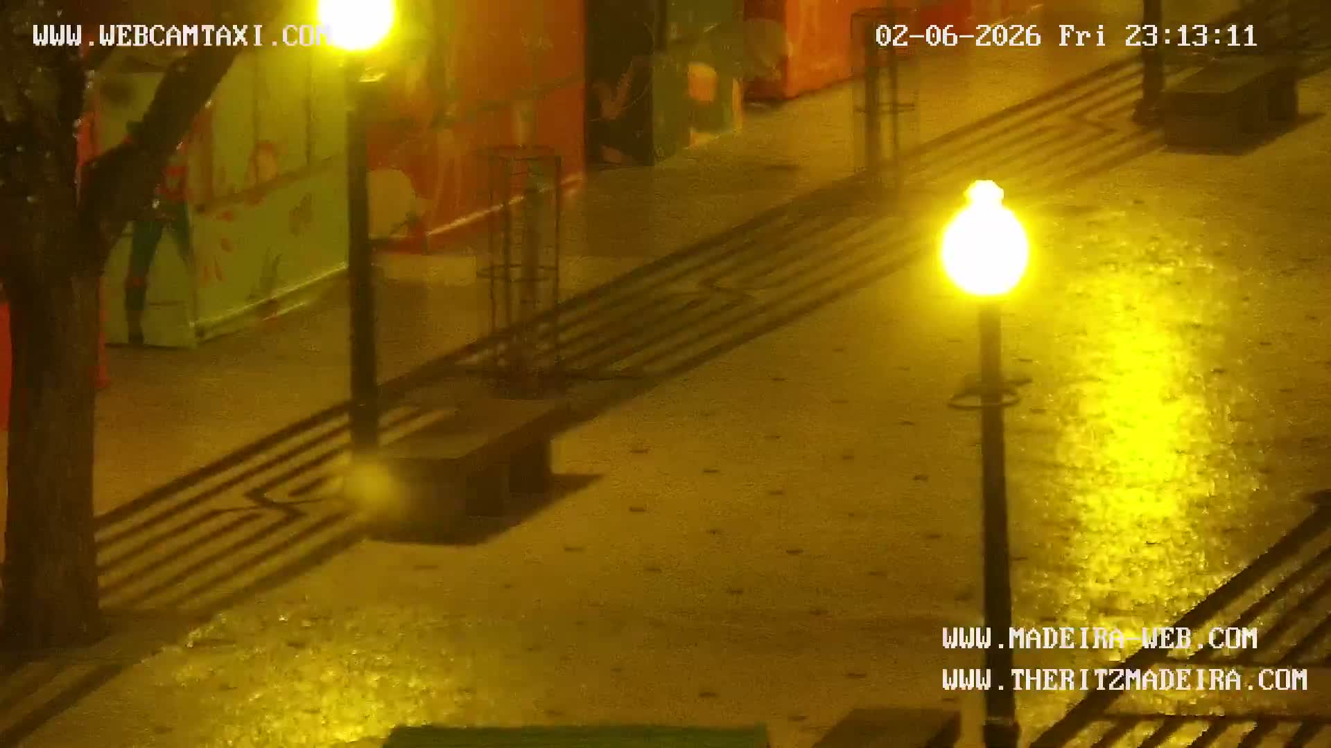 Ritz, Avenida Arriaga Avenue & Joao Goncalves Zarco Statue Live Cam - Funchal, Madeira, Portugal
