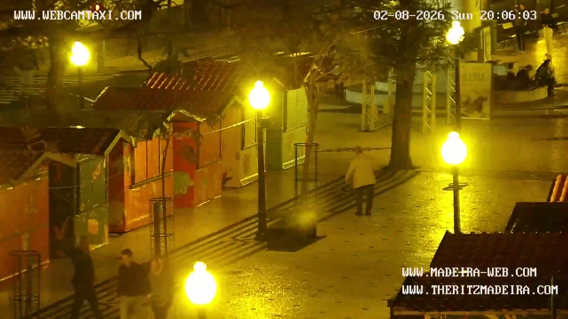 Ritz, Avenida Arriaga Avenue & Joao Goncalves Zarco Statue Live Cam - Funchal, Madeira, Portugal