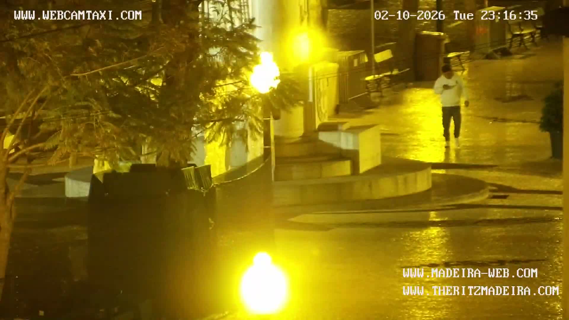 Ritz, Avenida Arriaga Avenue & Joao Goncalves Zarco Statue Live Cam - Funchal, Madeira, Portugal