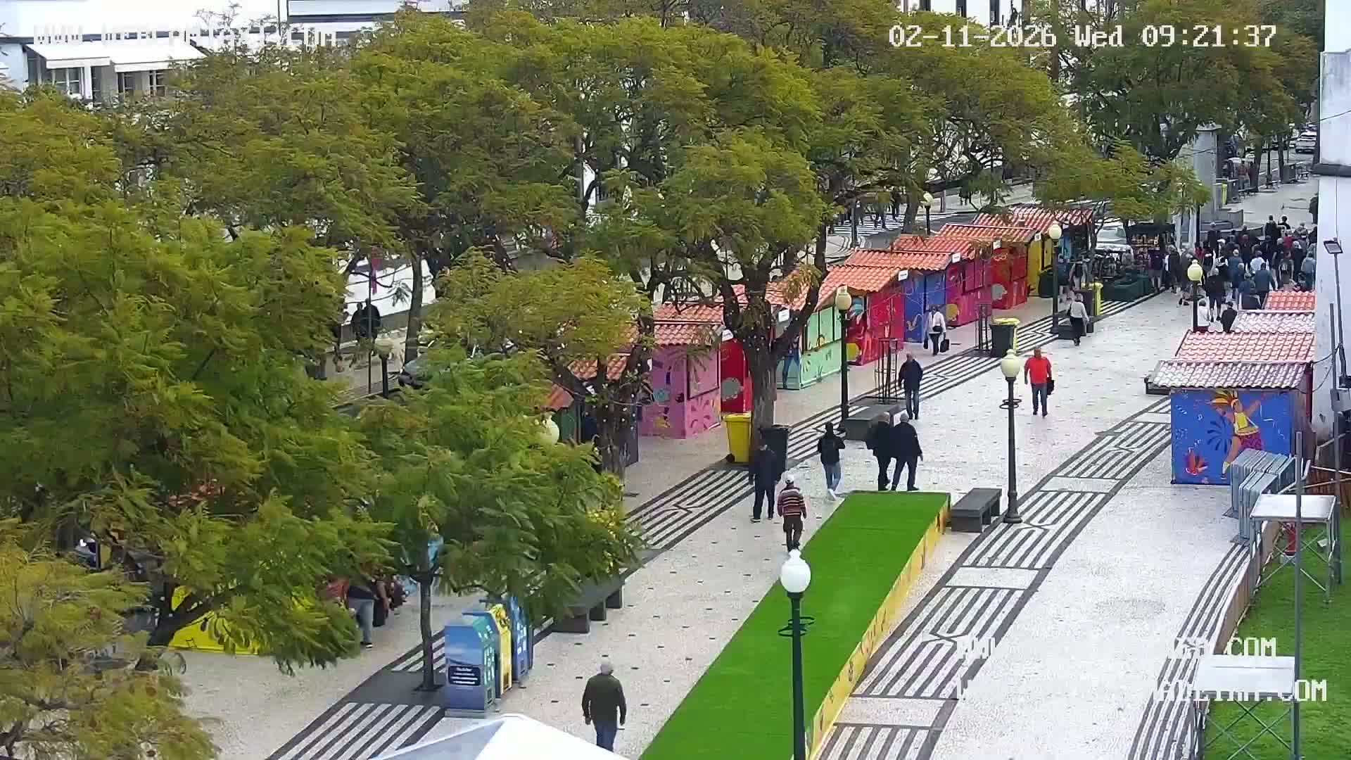 Ritz, Avenida Arriaga Avenue & Joao Goncalves Zarco Statue Live Cam - Funchal, Madeira, Portugal