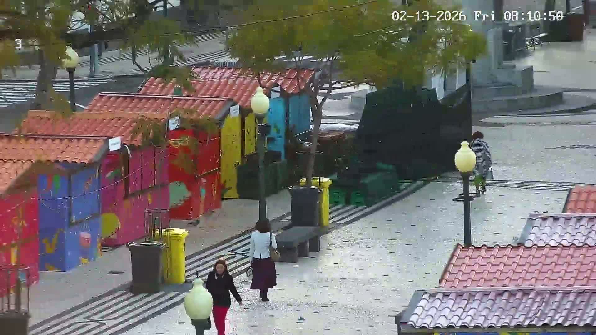 Ritz, Avenida Arriaga Avenue & Joao Goncalves Zarco Statue Live Cam - Funchal, Madeira, Portugal