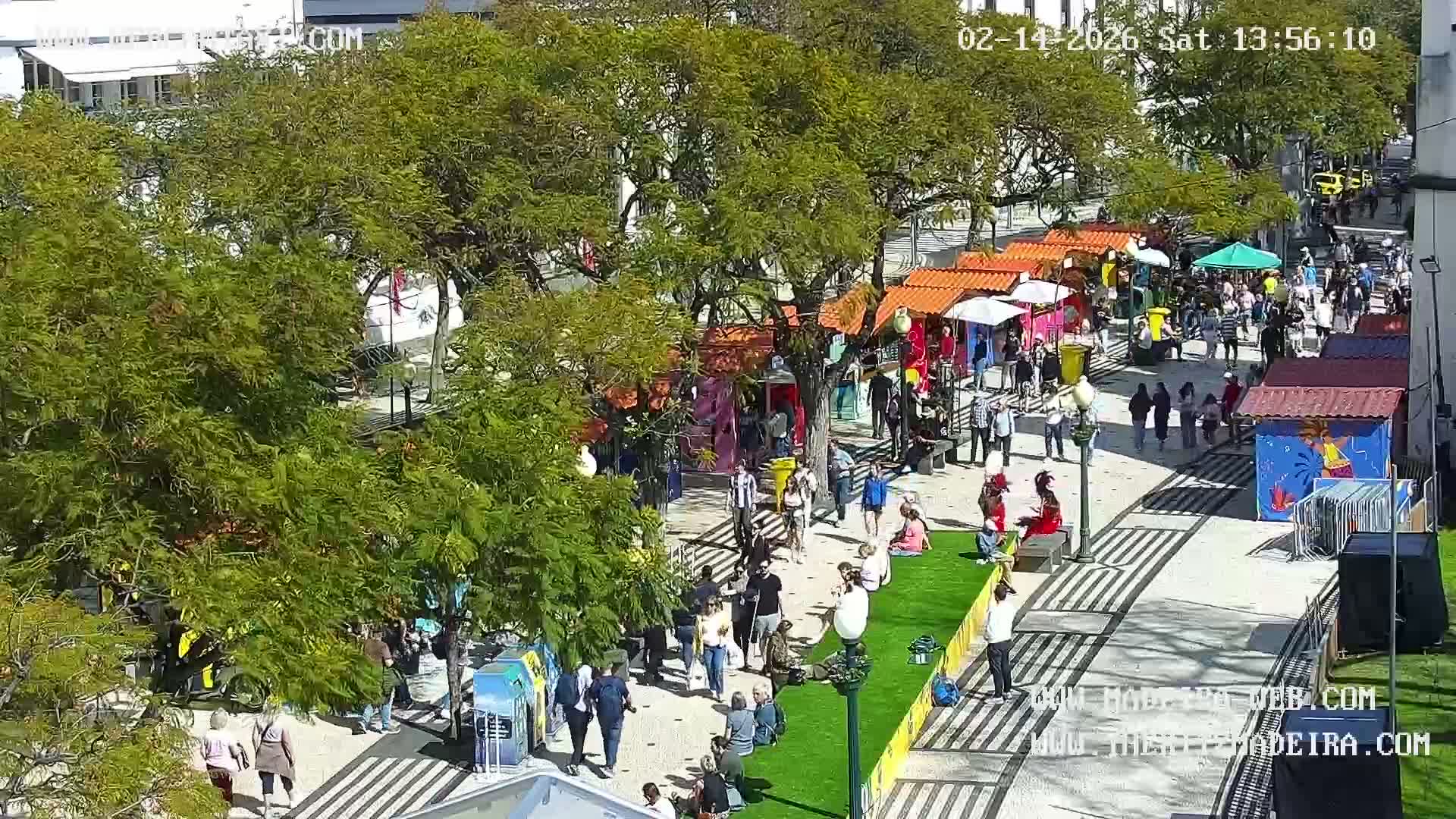 Ritz, Avenida Arriaga Avenue & Joao Goncalves Zarco Statue Live Cam - Funchal, Madeira, Portugal