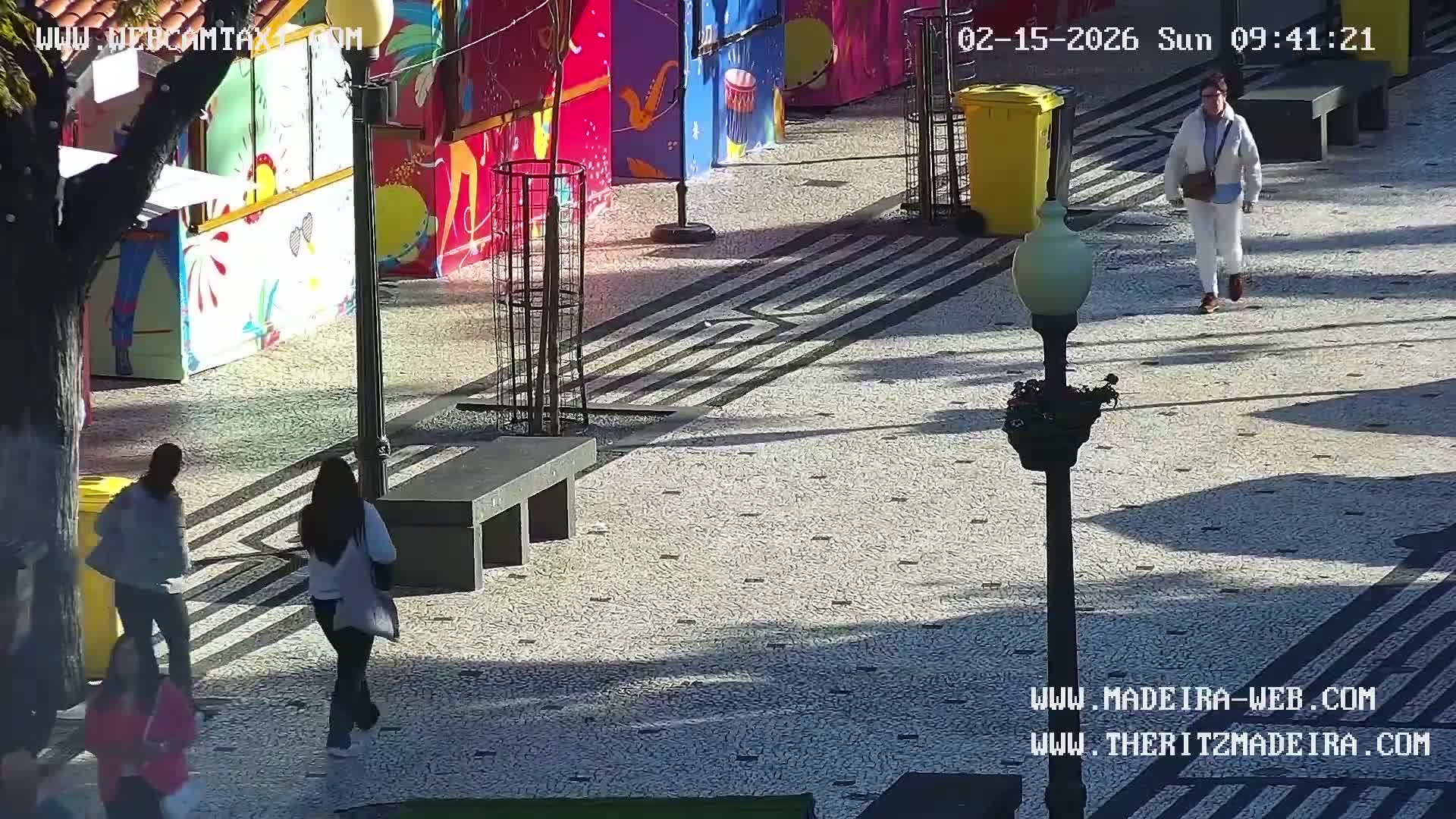 Ritz, Avenida Arriaga Avenue & Joao Goncalves Zarco Statue Live Cam - Funchal, Madeira, Portugal