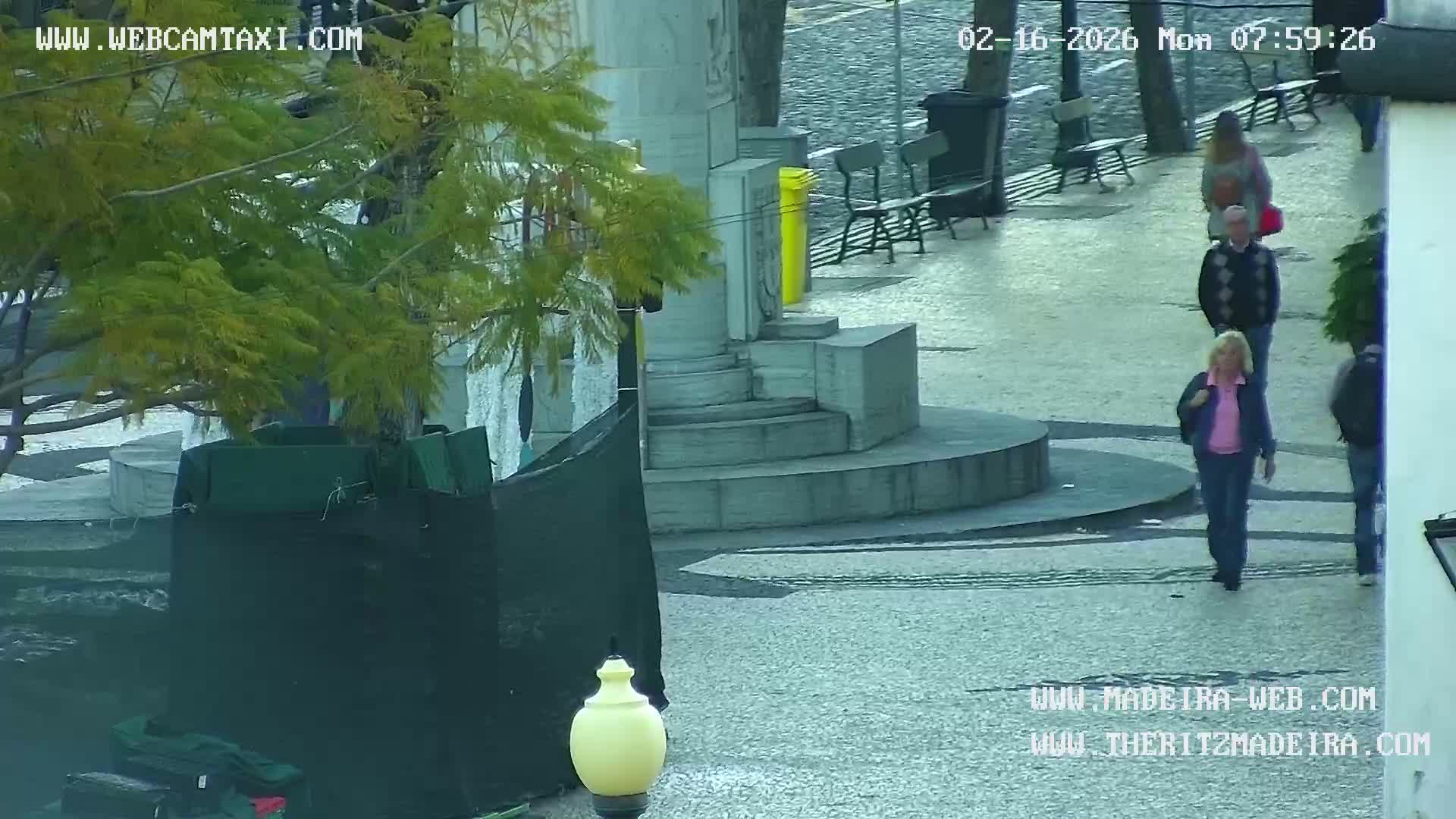 Ritz, Avenida Arriaga Avenue & Joao Goncalves Zarco Statue Live Cam - Funchal, Madeira, Portugal